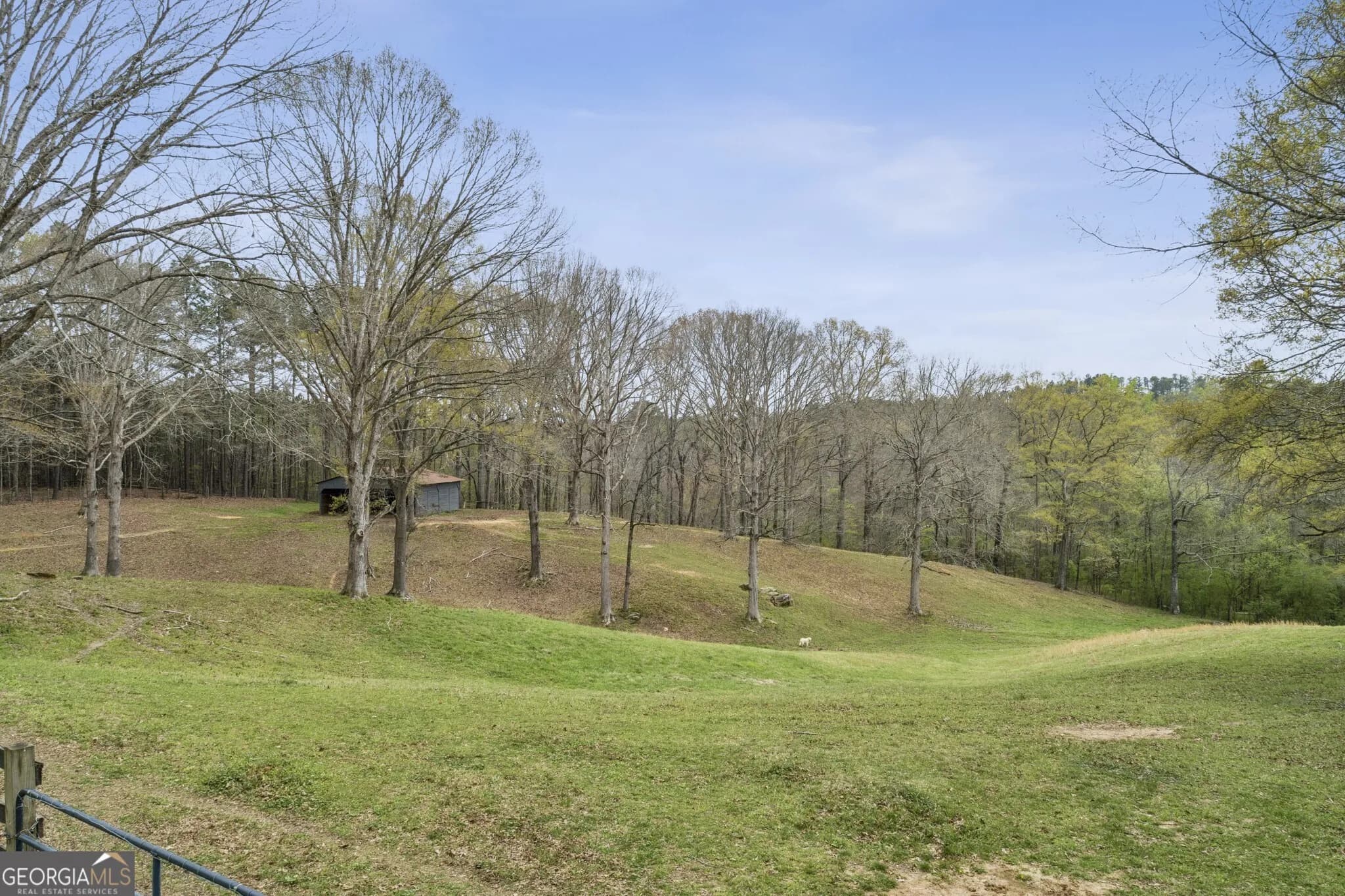 1137 Buchanan Hwy — photo 47 of 49