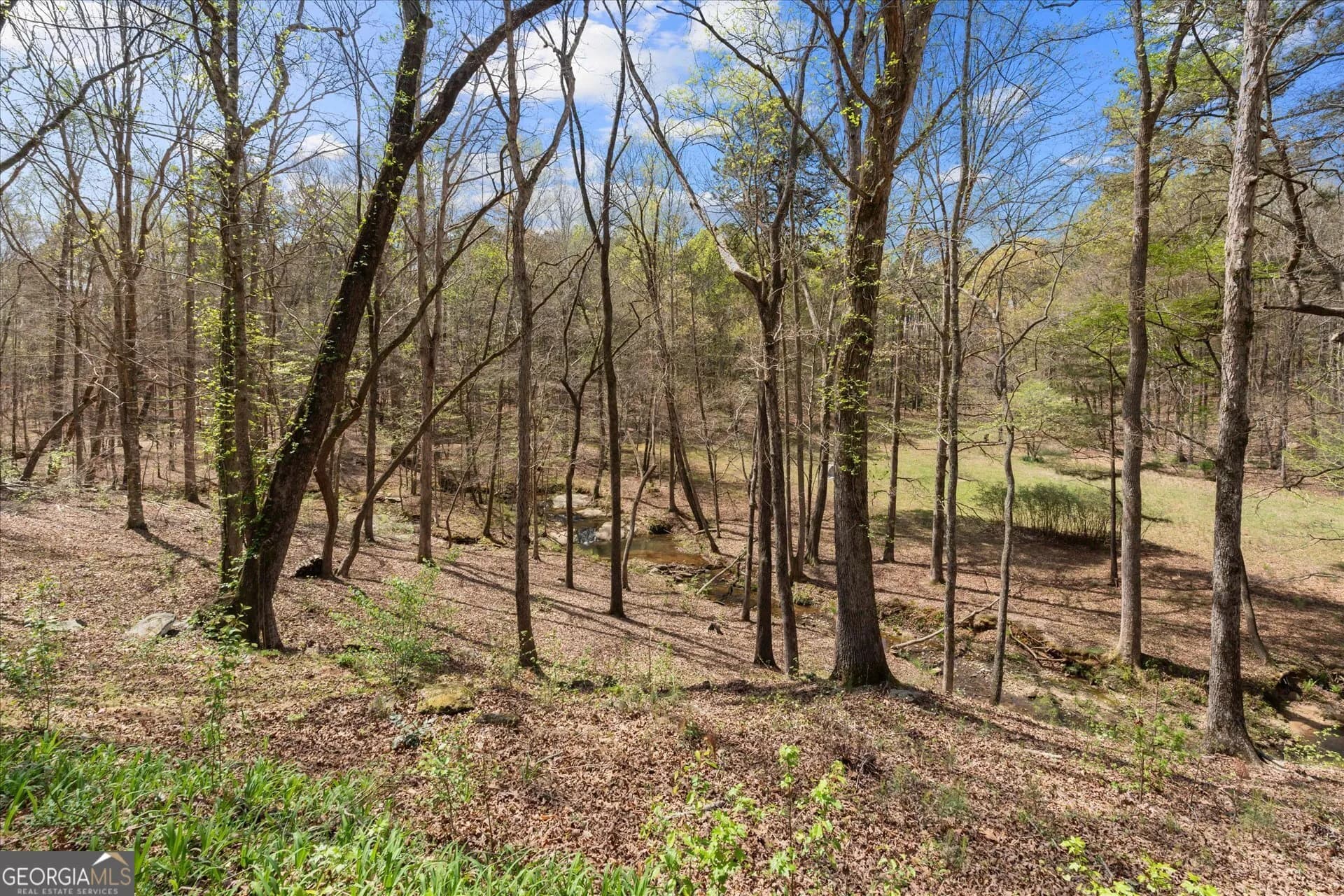 3880 Fern Springs Ln — photo 48 of 83