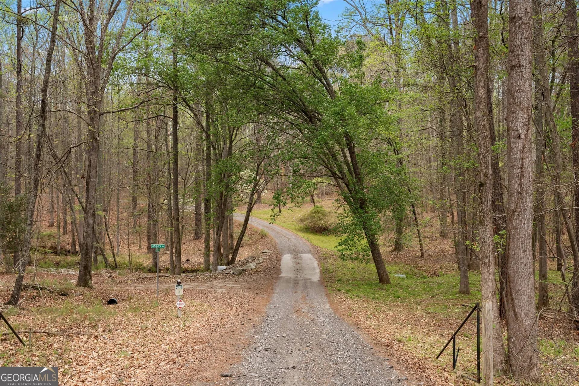 3880 Fern Springs Ln — photo 60 of 83