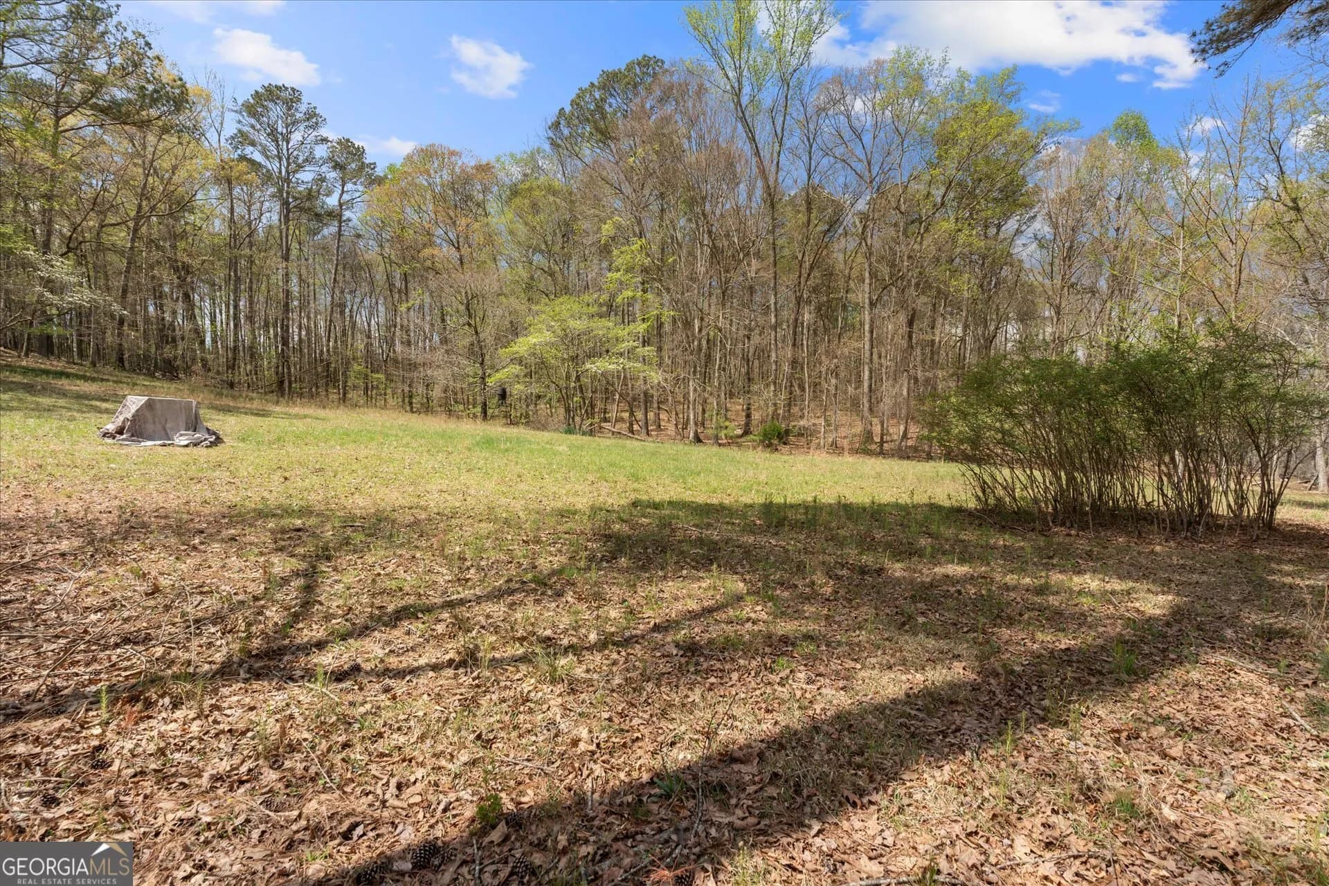 3880 Fern Springs Ln — photo 54 of 83