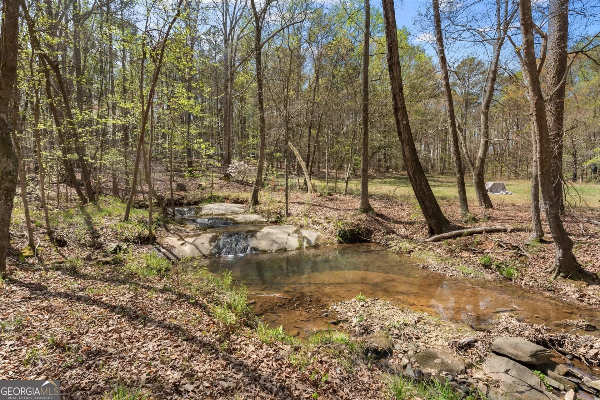 3880 Fern Springs Ln — photo 46 of 77