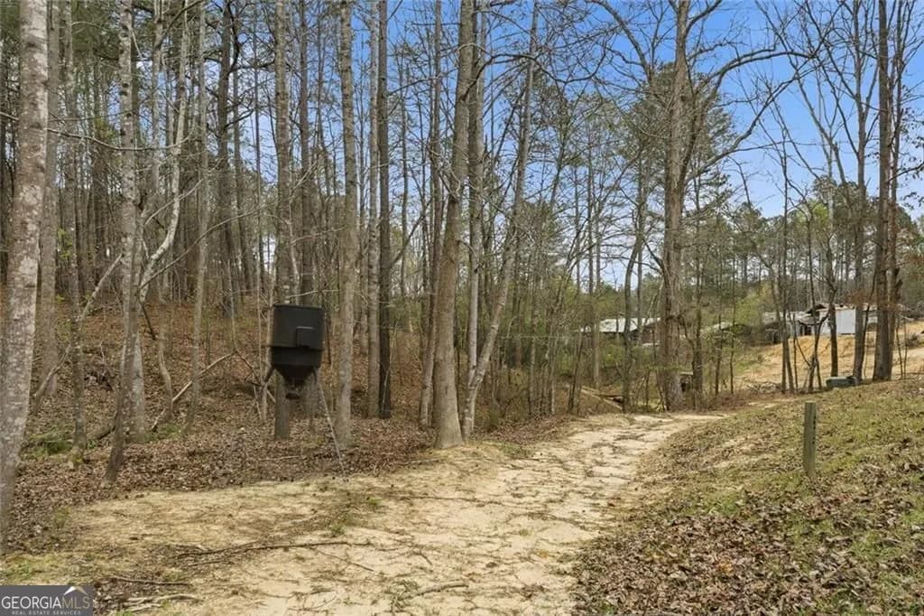 34 Rock Hole Path — photo 32 of 41