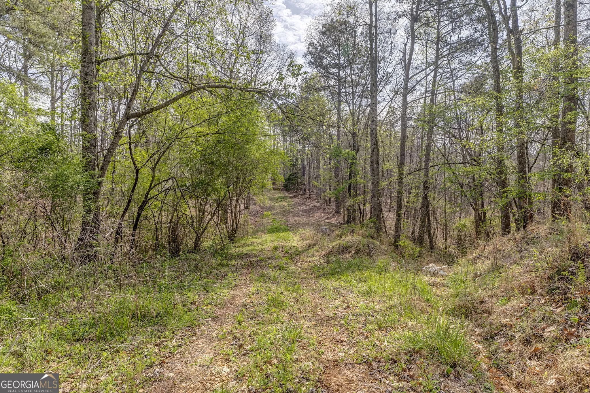 3585 Old Highway 100 S — photo 7 of 9