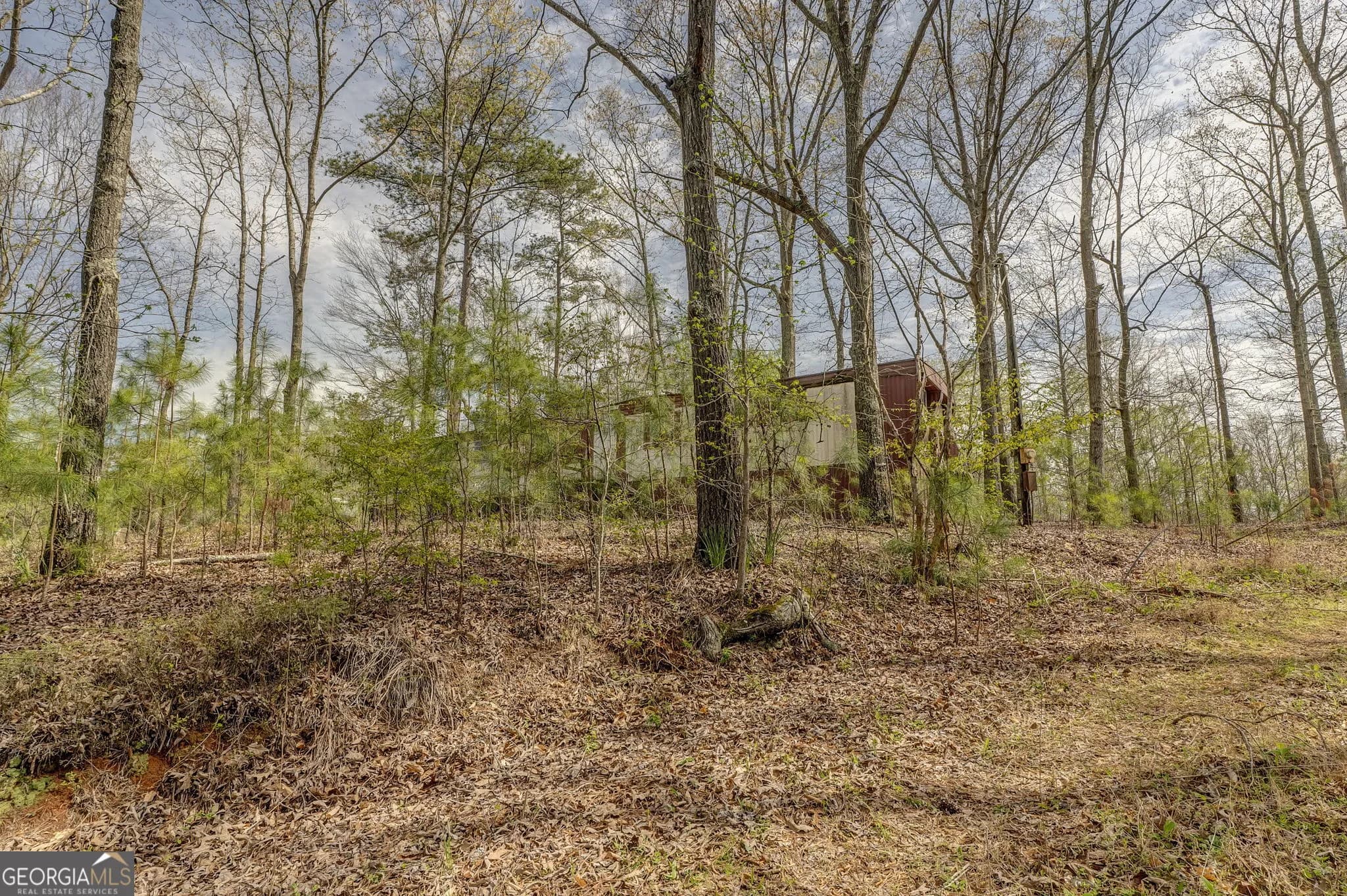 3585 Old Highway 100 S — photo 4 of 9