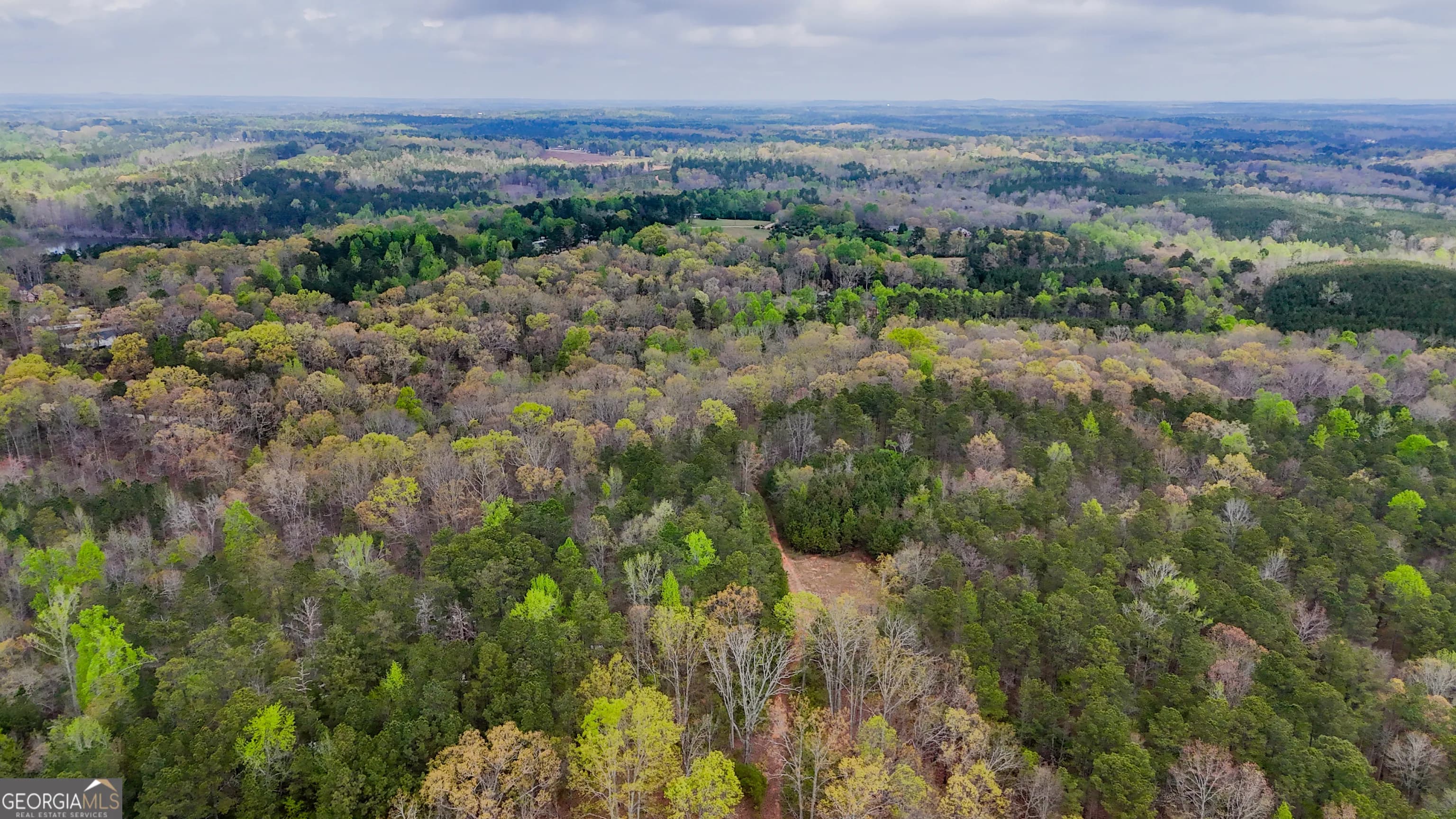 78 Acres Cross Plains Rd — photo 9 of 13