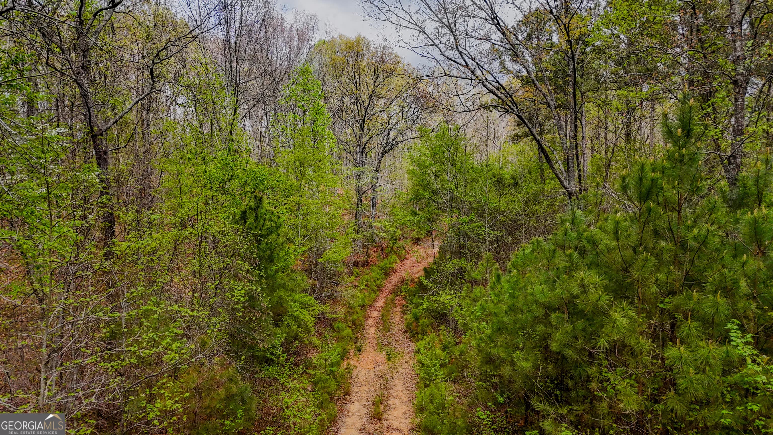 78 Acres Cross Plains Rd — photo 5 of 13