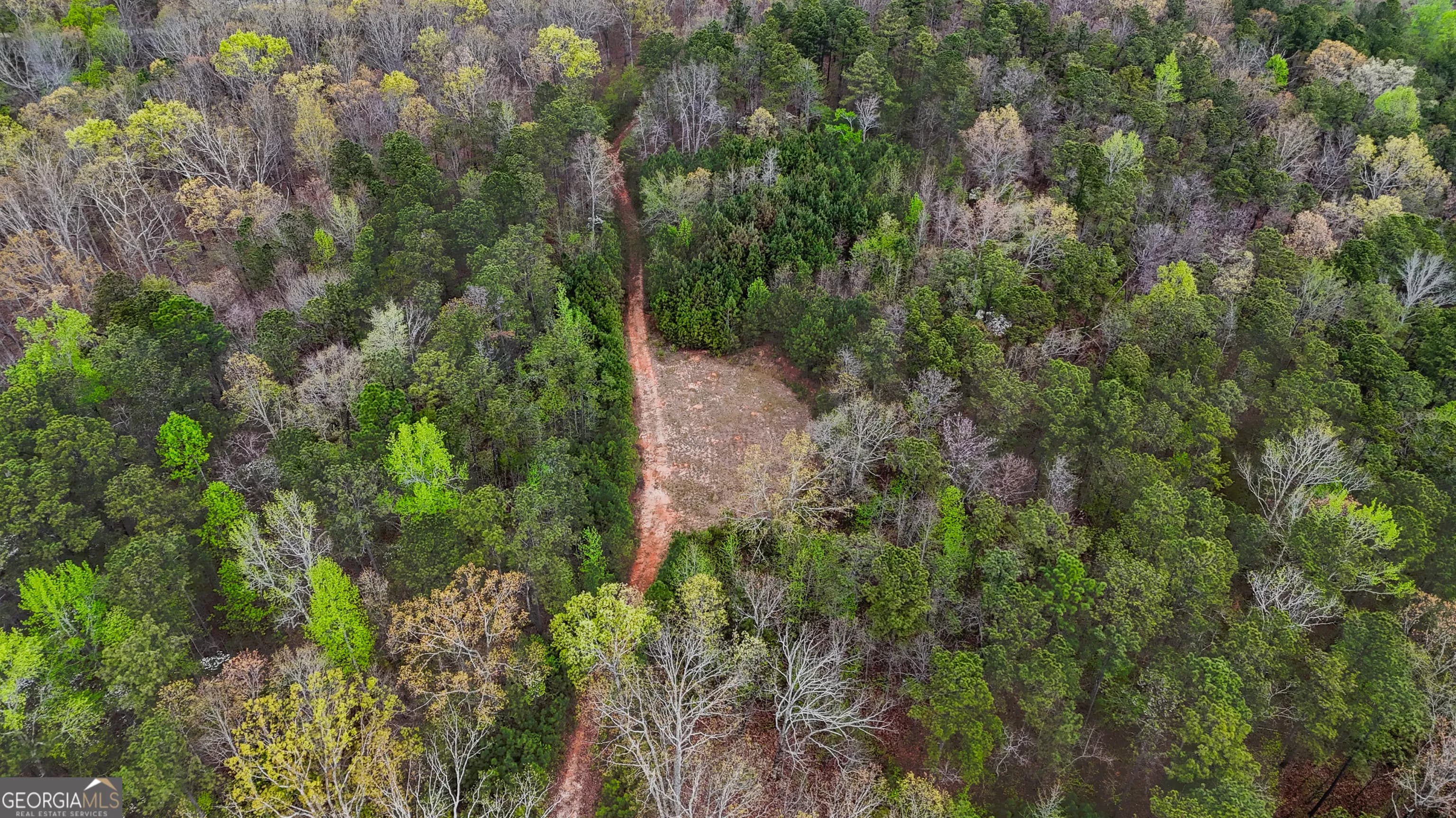 78 Acres Cross Plains Rd — photo 10 of 13