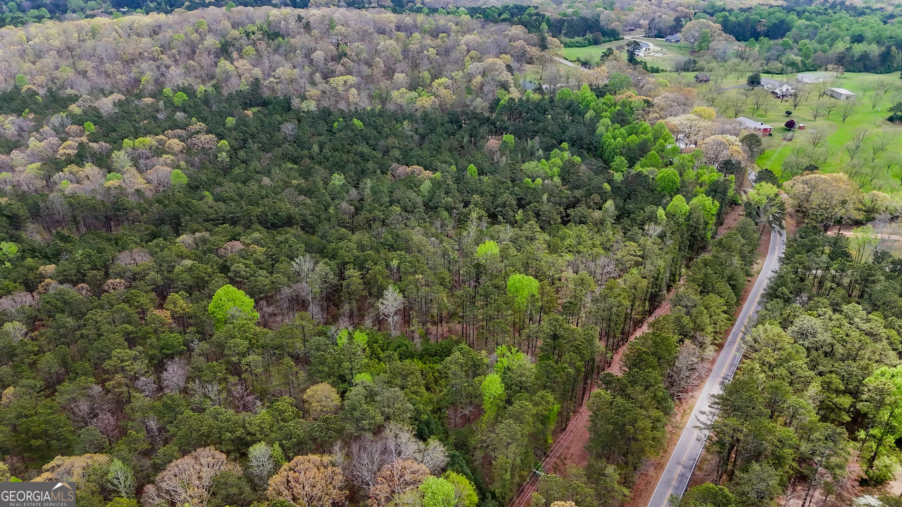 78 Acres Cross Plains Rd — photo 7 of 13