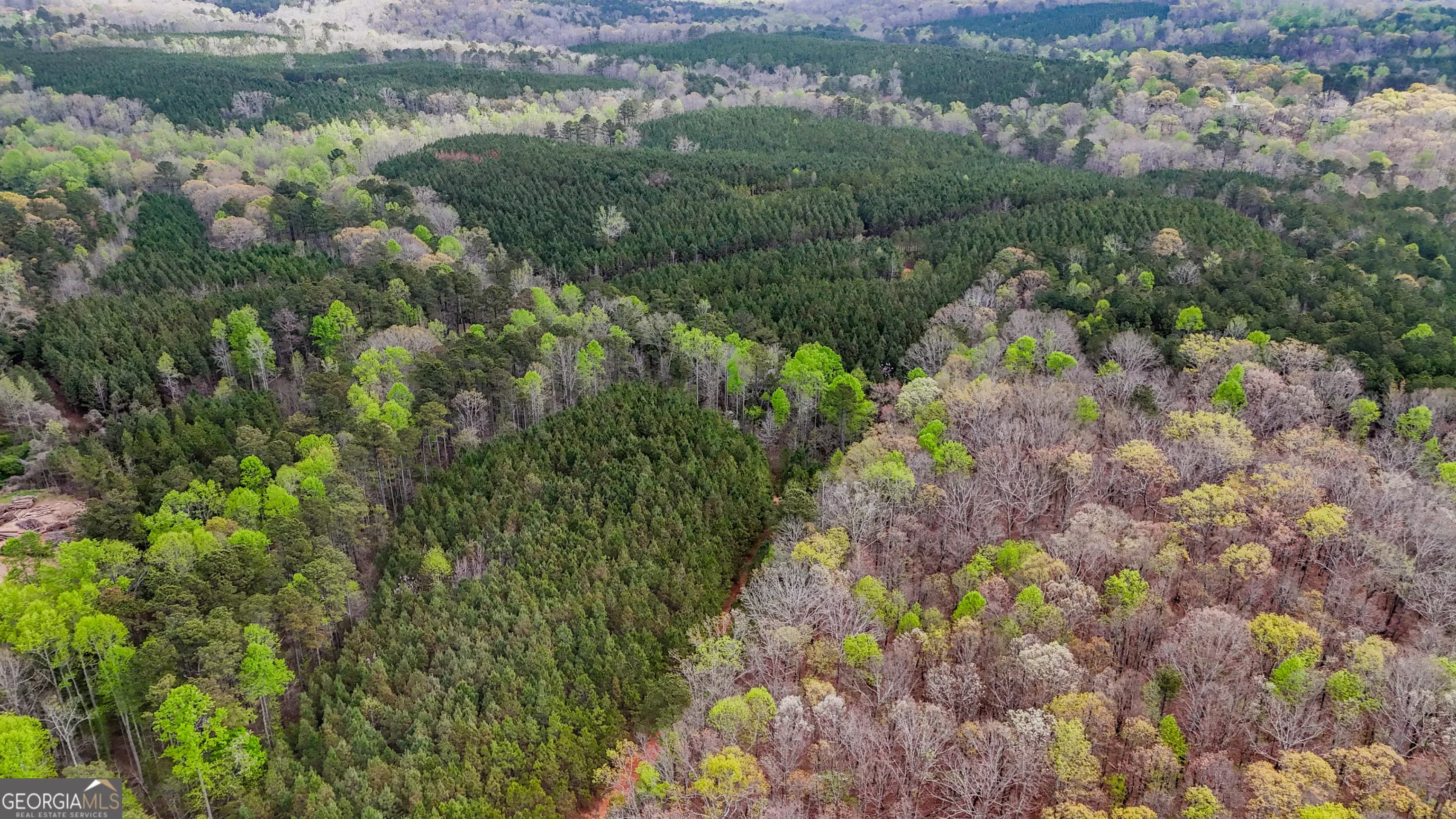 78 Acres Cross Plains Rd — photo 11 of 13