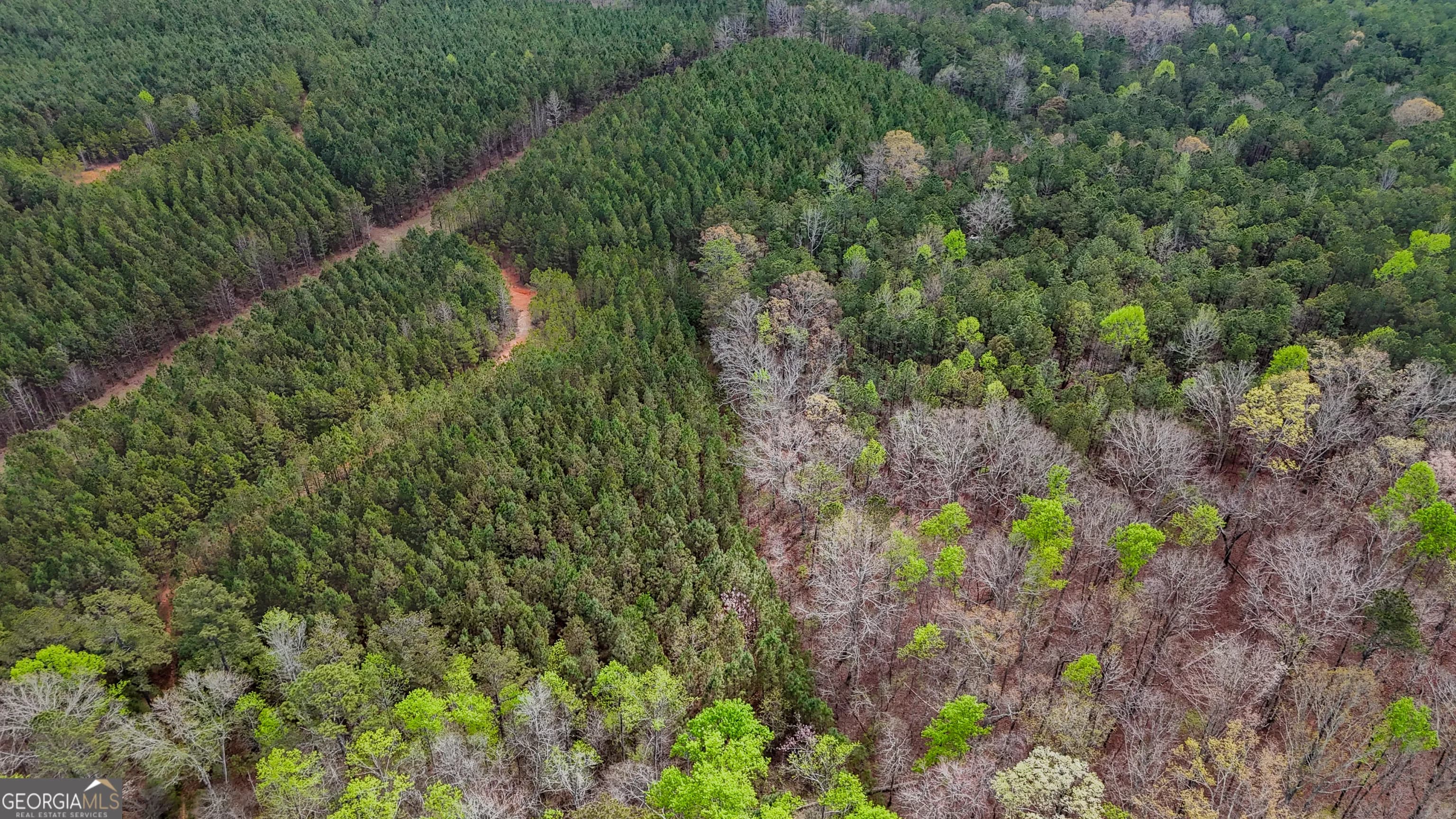 78 Acres Cross Plains Rd — photo 13 of 13