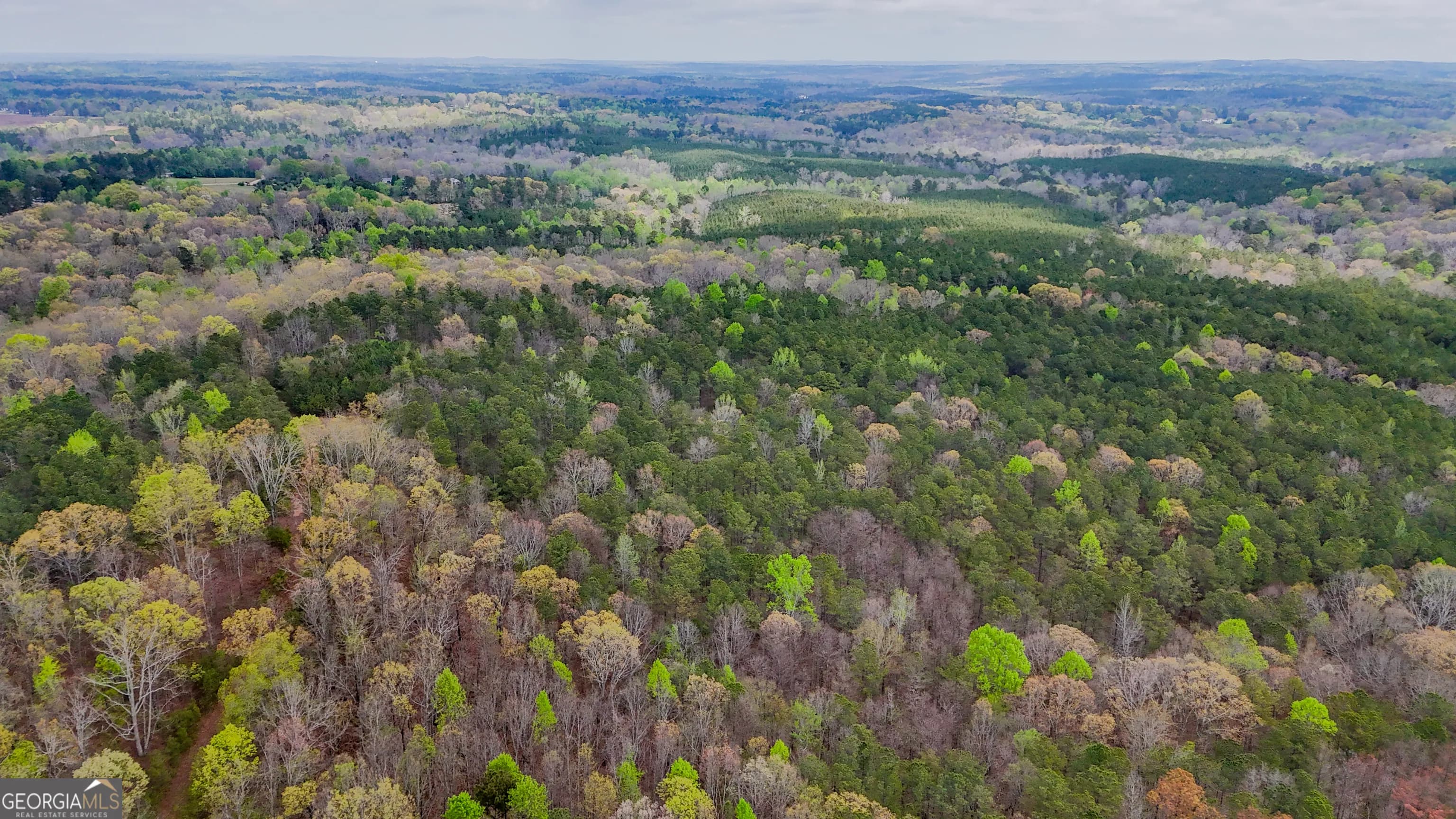 78 Acres Cross Plains Rd — photo 8 of 13