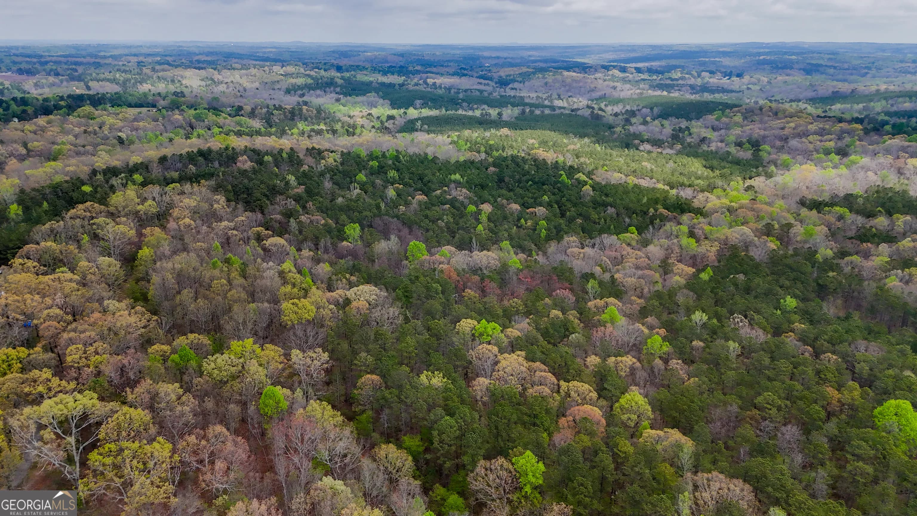 78 Acres Cross Plains Rd — photo 6 of 13