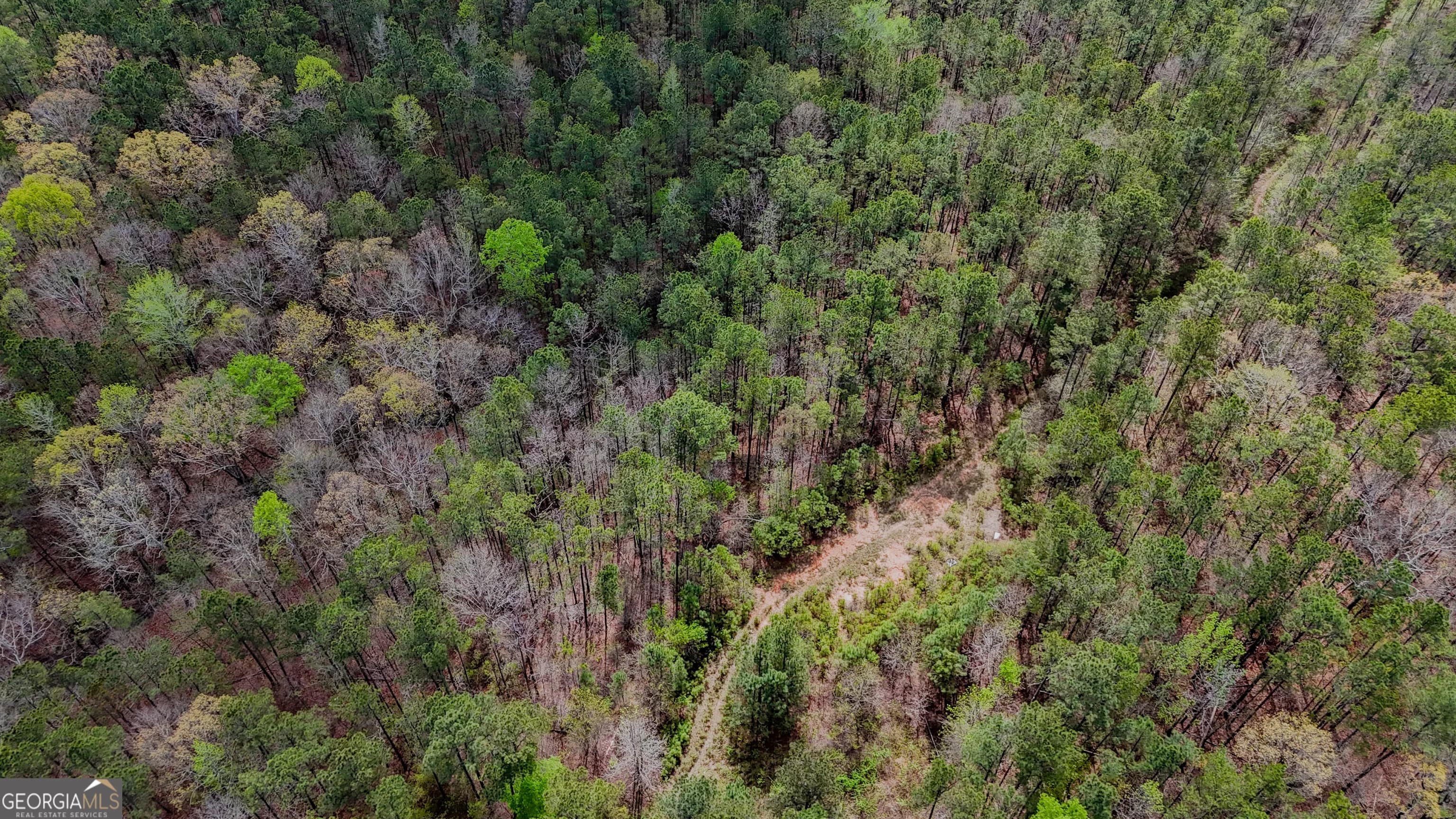 78 Acres Cross Plains Rd — photo 4 of 13
