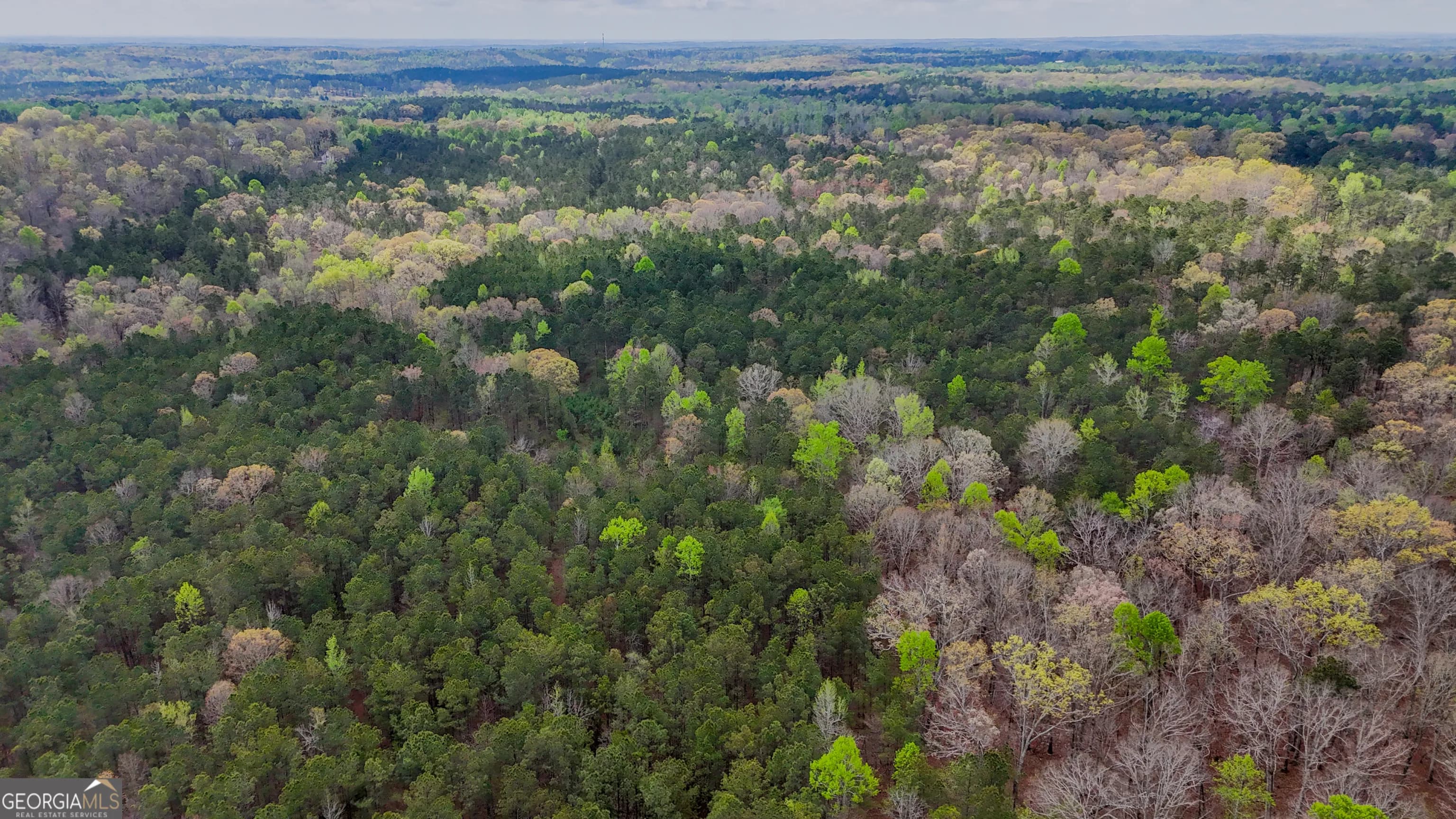 78 Acres Cross Plains Rd — photo 3 of 13