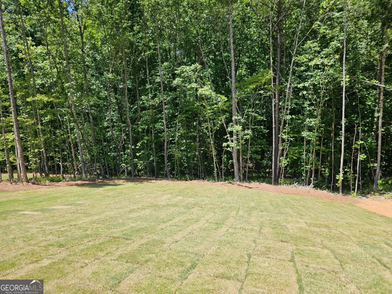 479 Principal Meridian Dr — photo 10 of 18