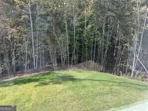 517 Principal Meridian Dr — photo 9 of 17