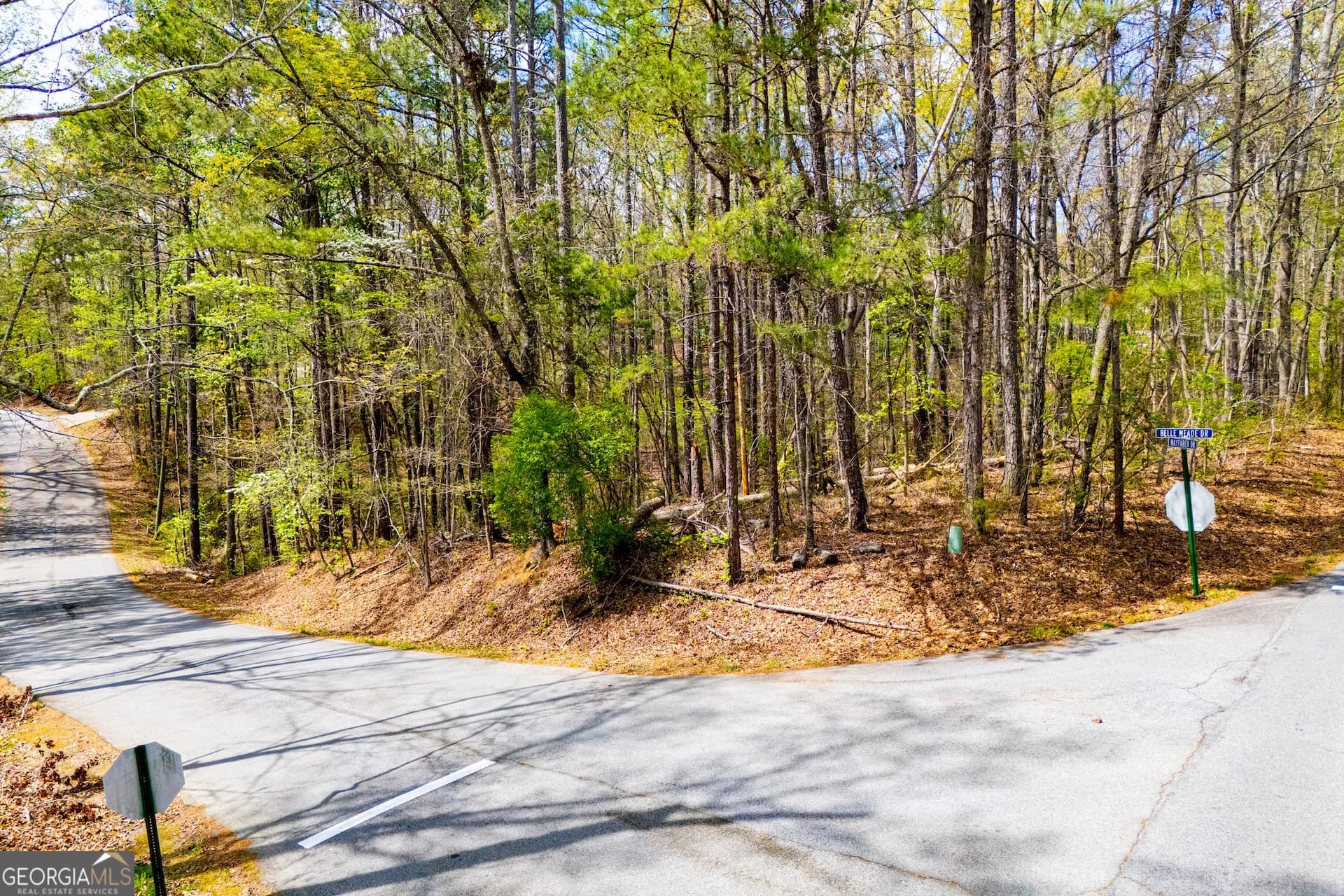 6156 Belle Meade Dr, Villa Rica