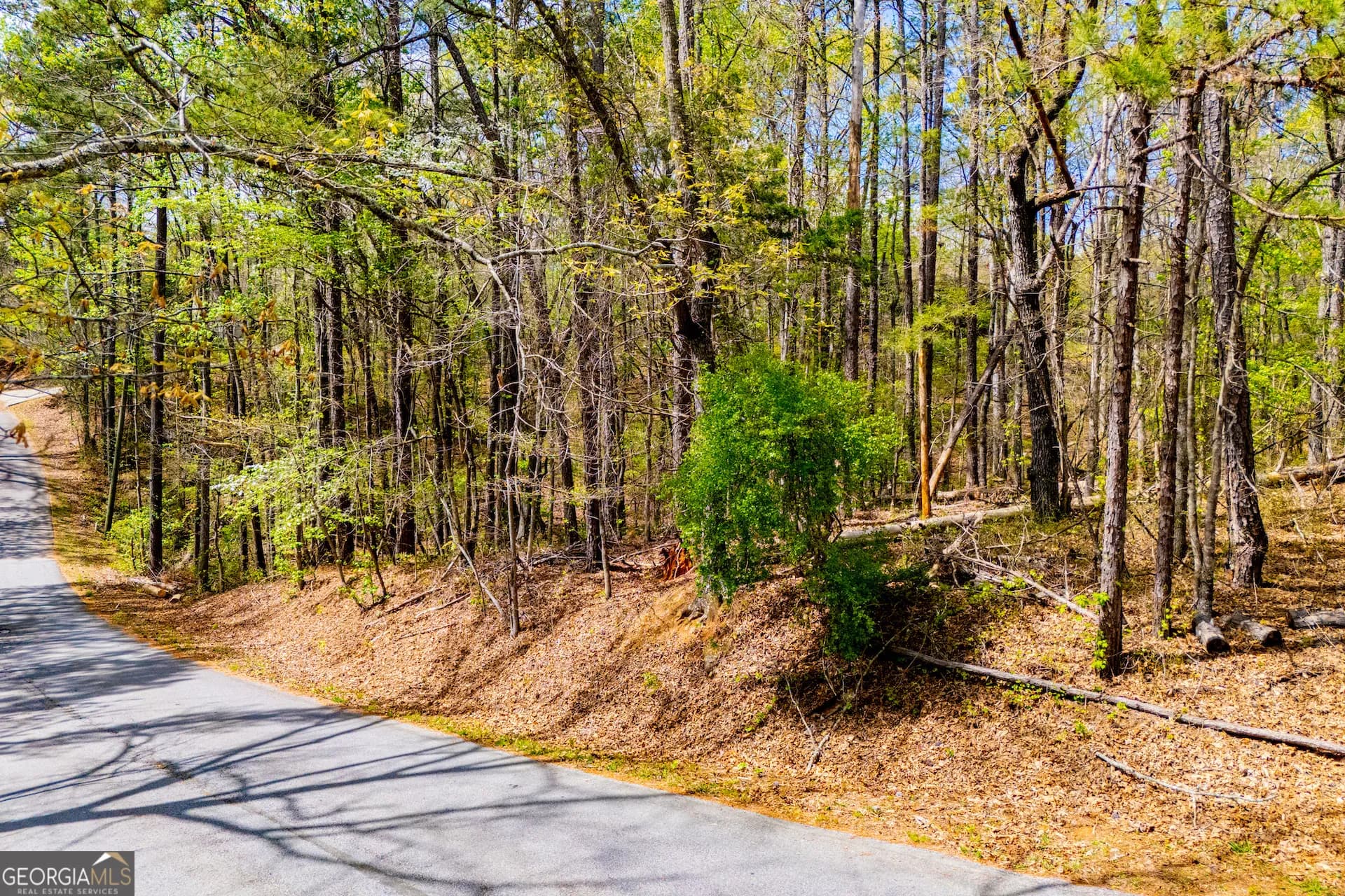 6156 Belle Meade Dr — photo 4 of 65