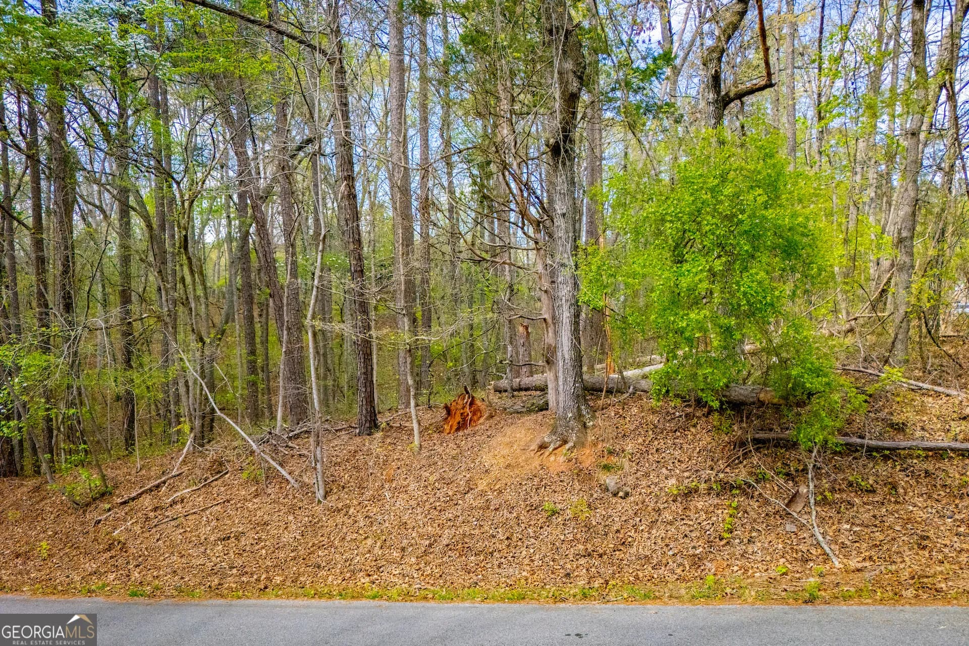 6156 Belle Meade Dr — photo 6 of 65