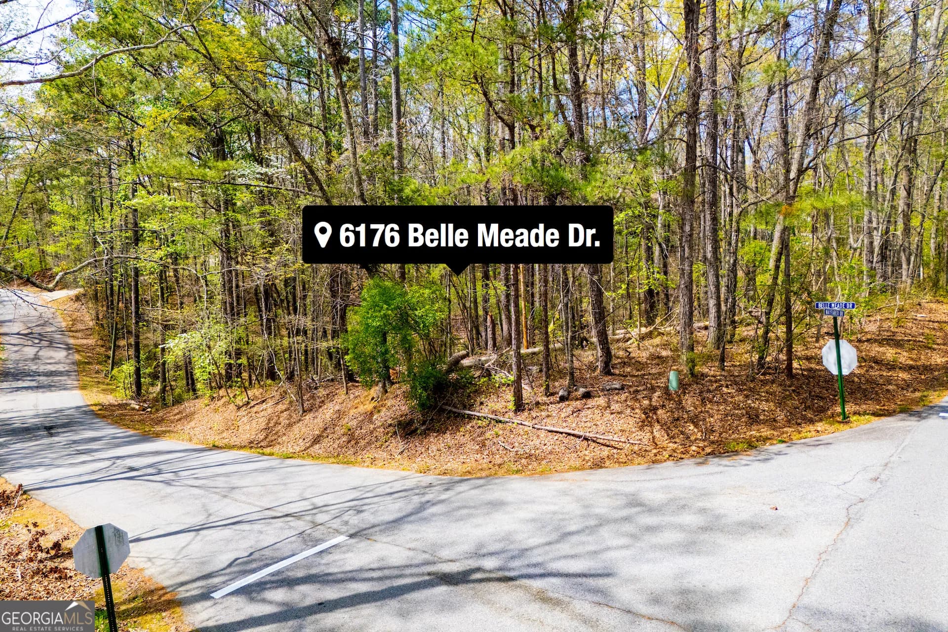 6156 Belle Meade Dr — photo 18 of 65