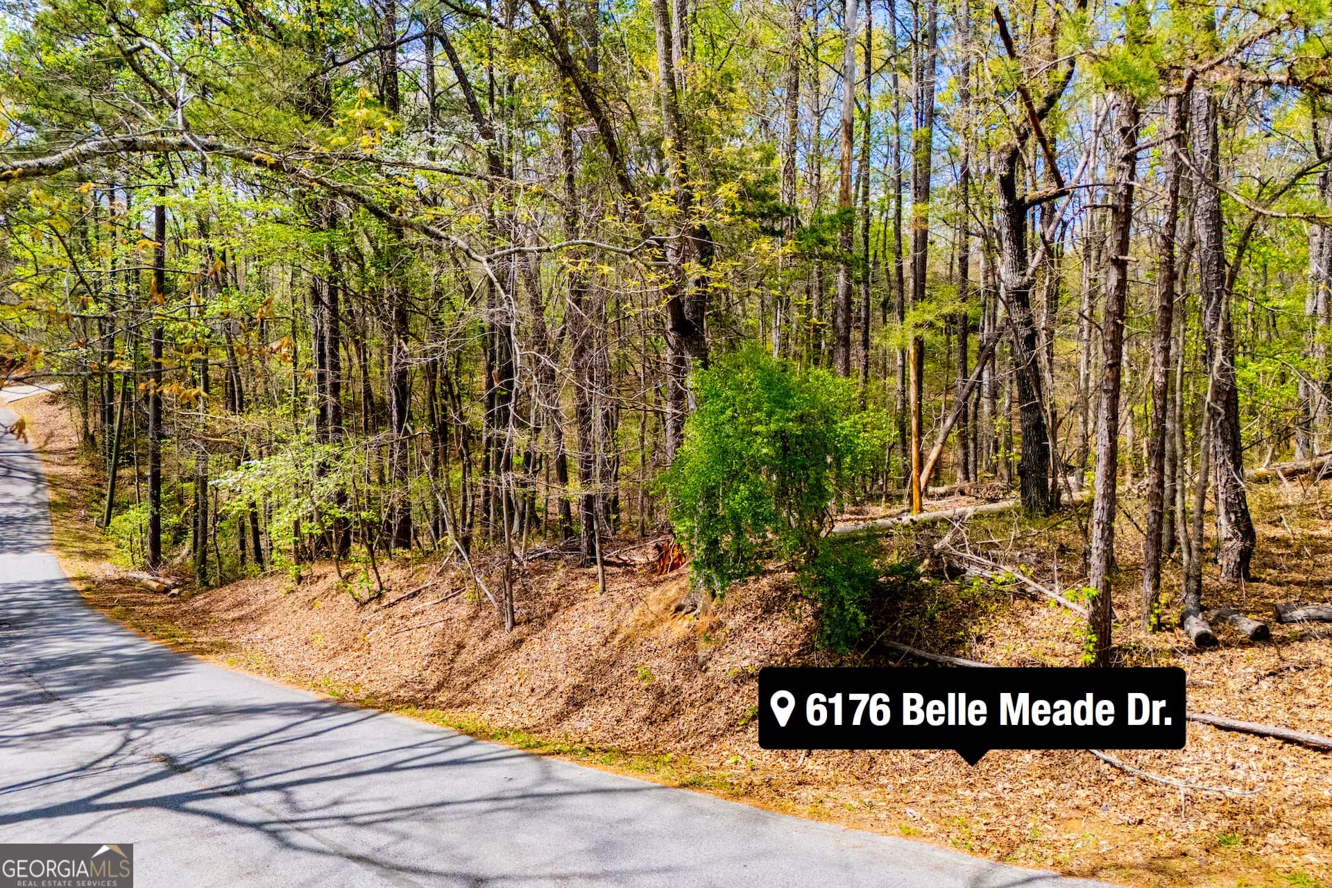 6156 Belle Meade Dr — photo 8 of 65