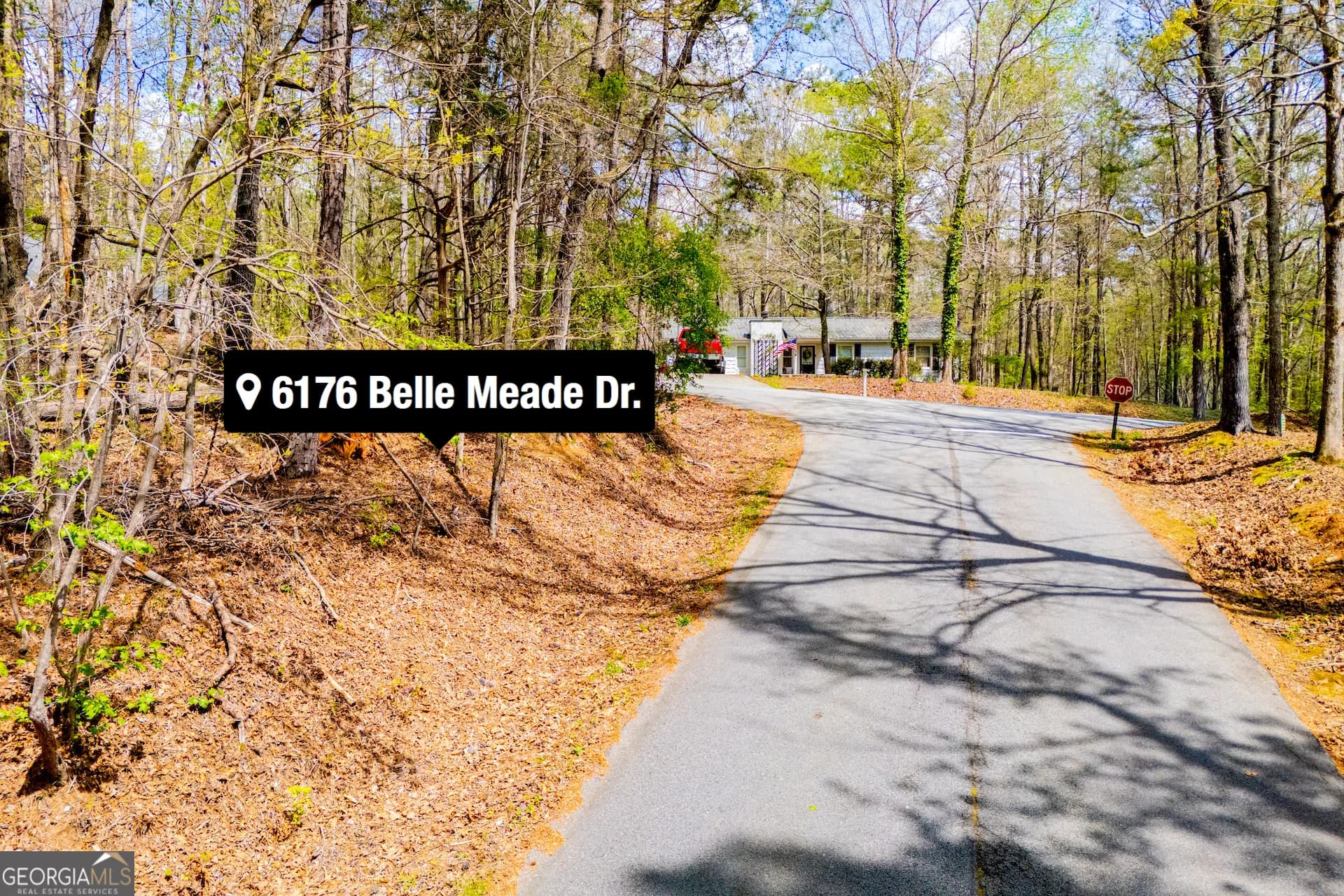 6156 Belle Meade Dr — photo 7 of 65