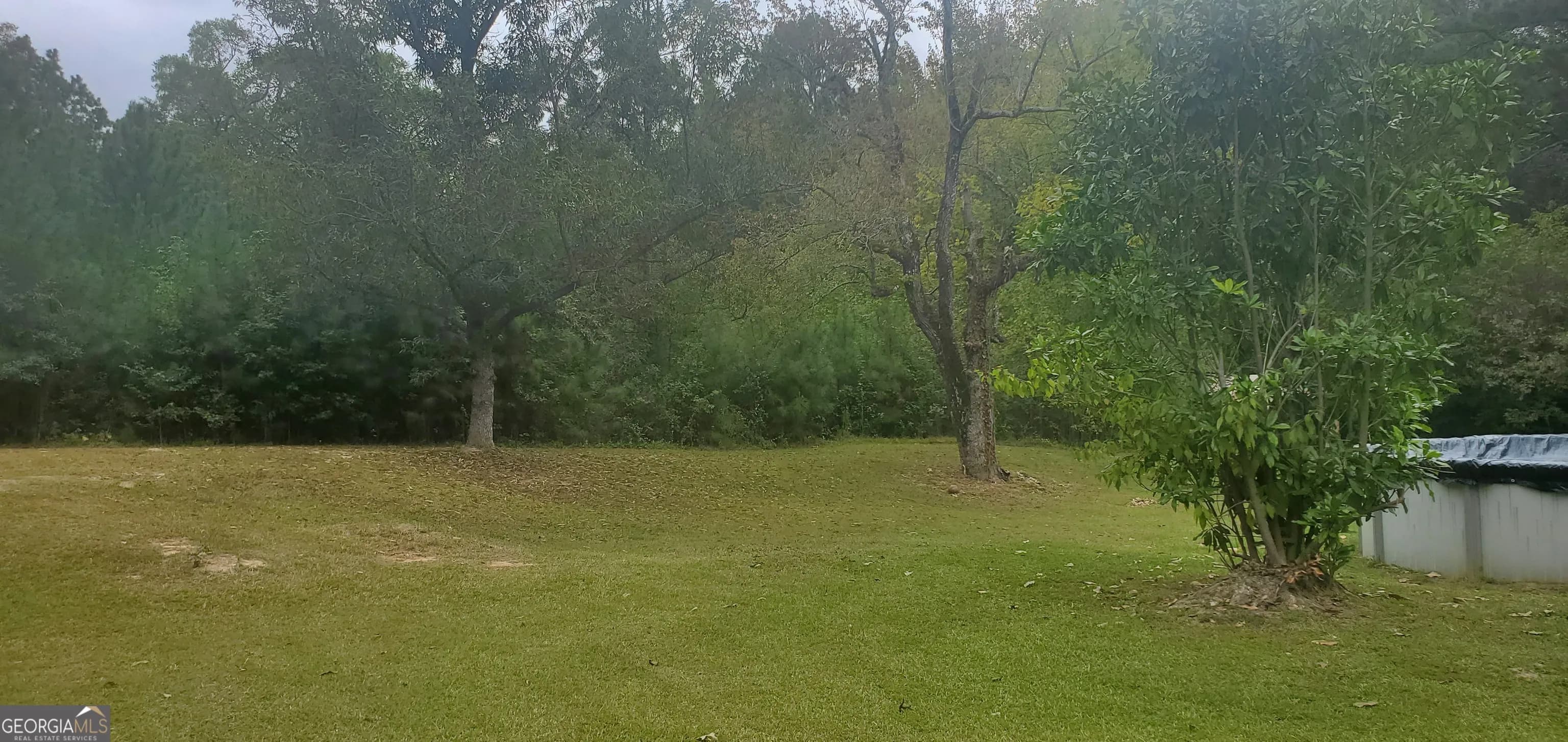 384 Enon Grove Rd — photo 98 of 117