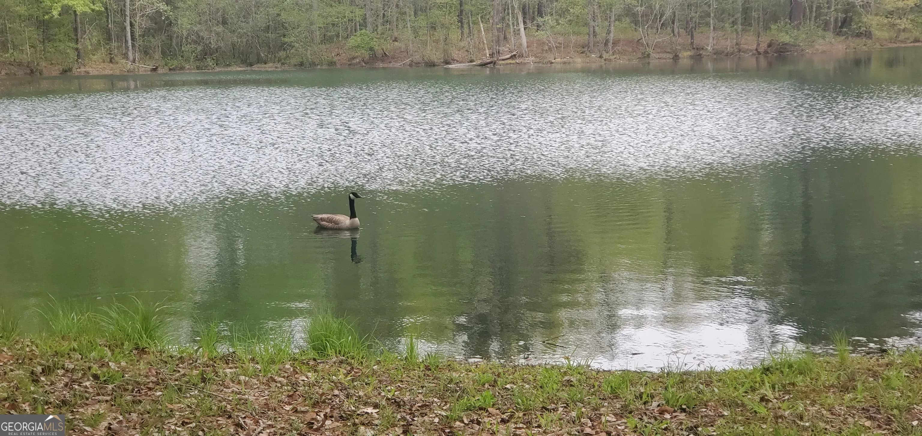 384 Enon Grove Rd — photo 9 of 117