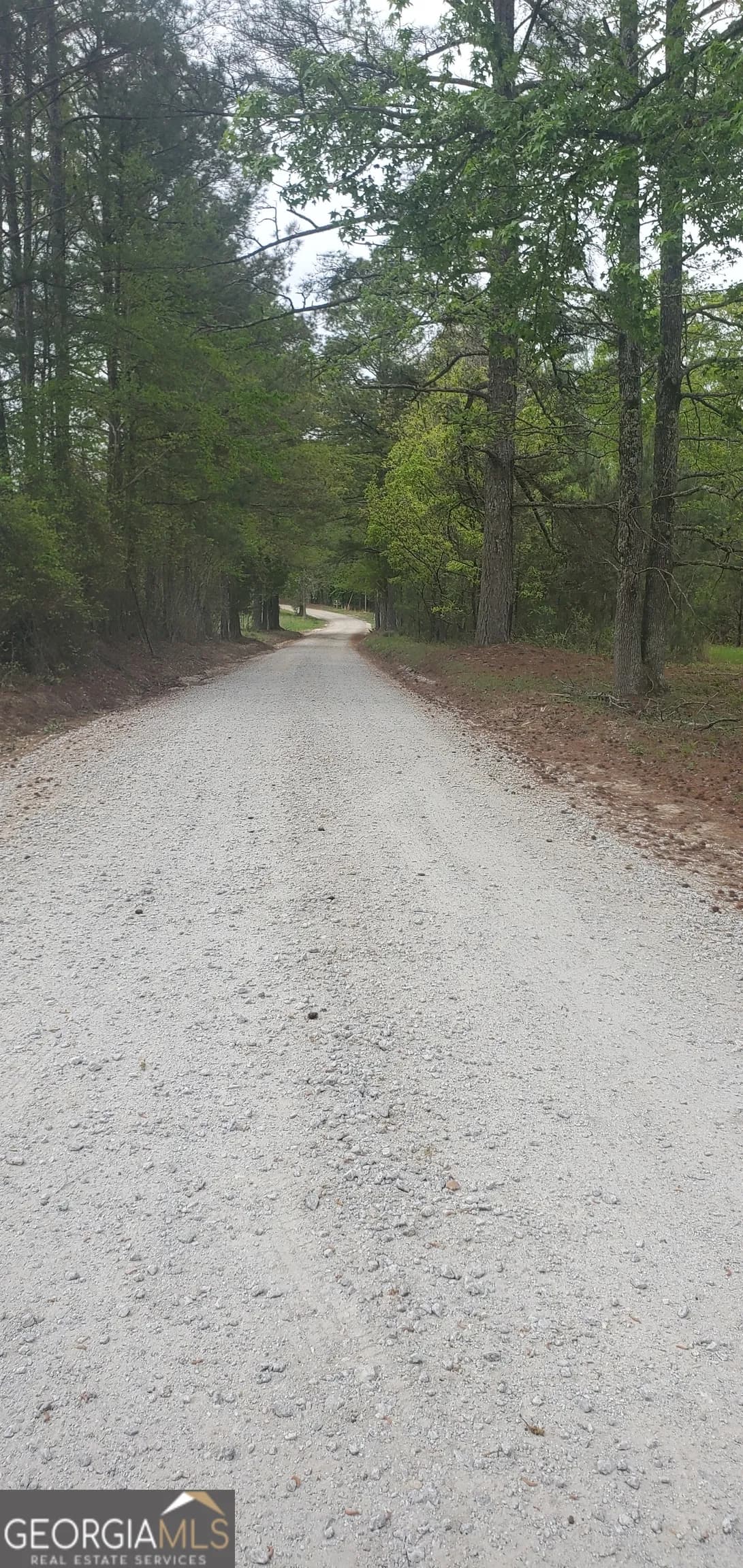 384 Enon Grove Rd — photo 19 of 117