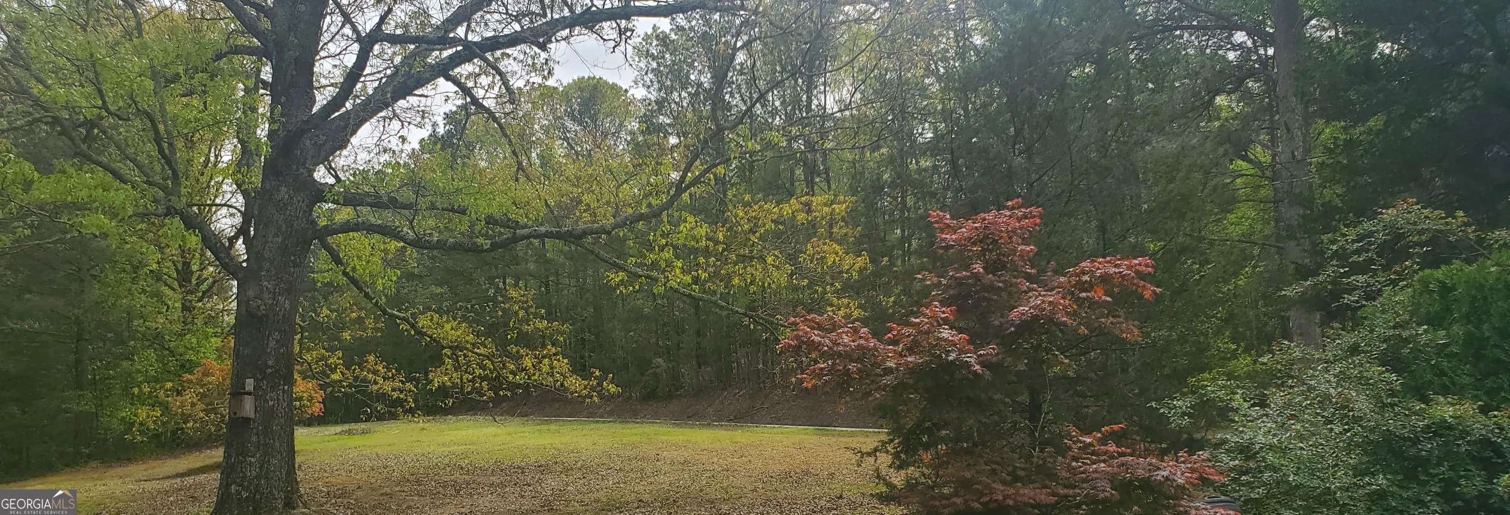 384 Enon Grove Rd — photo 33 of 117