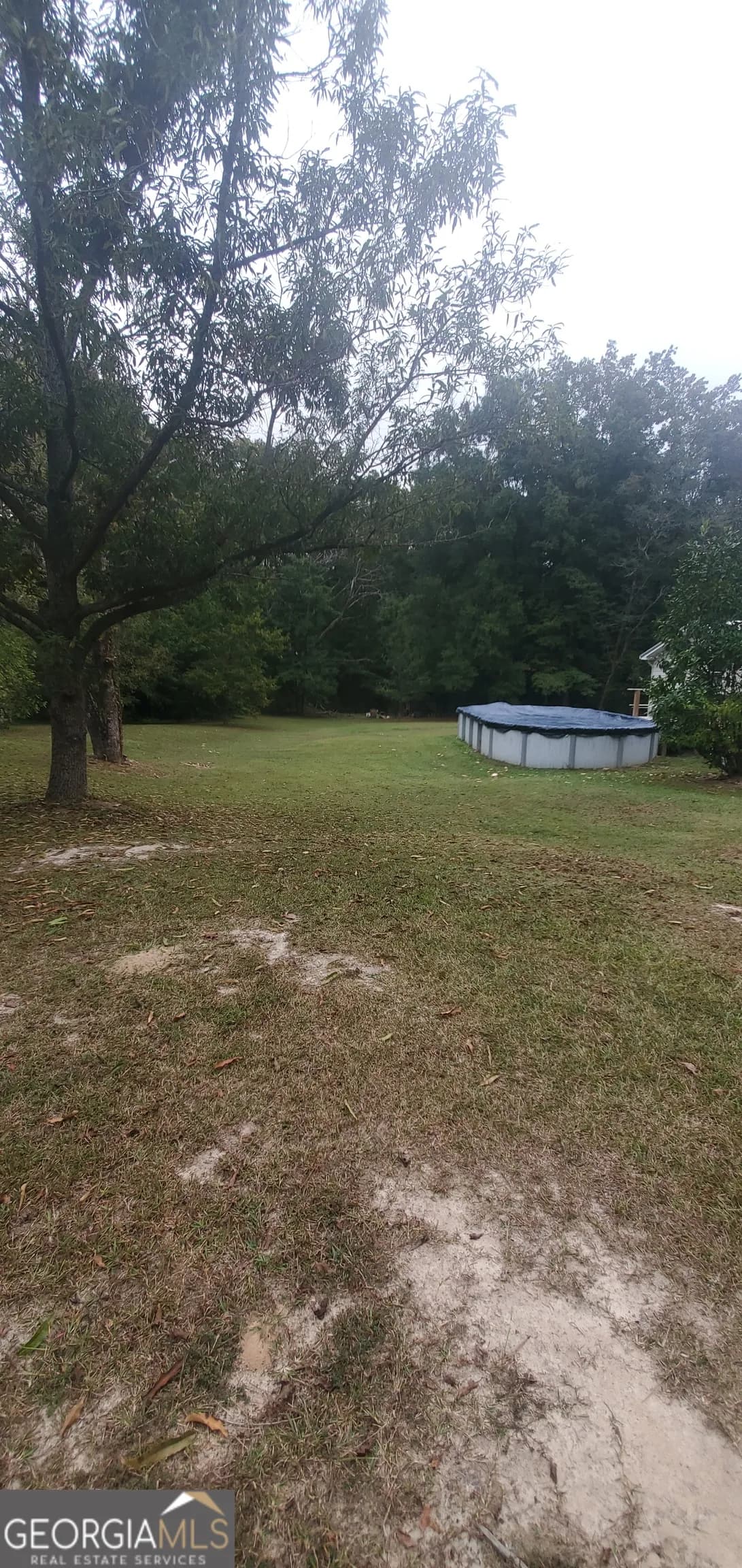 384 Enon Grove Rd — photo 80 of 117