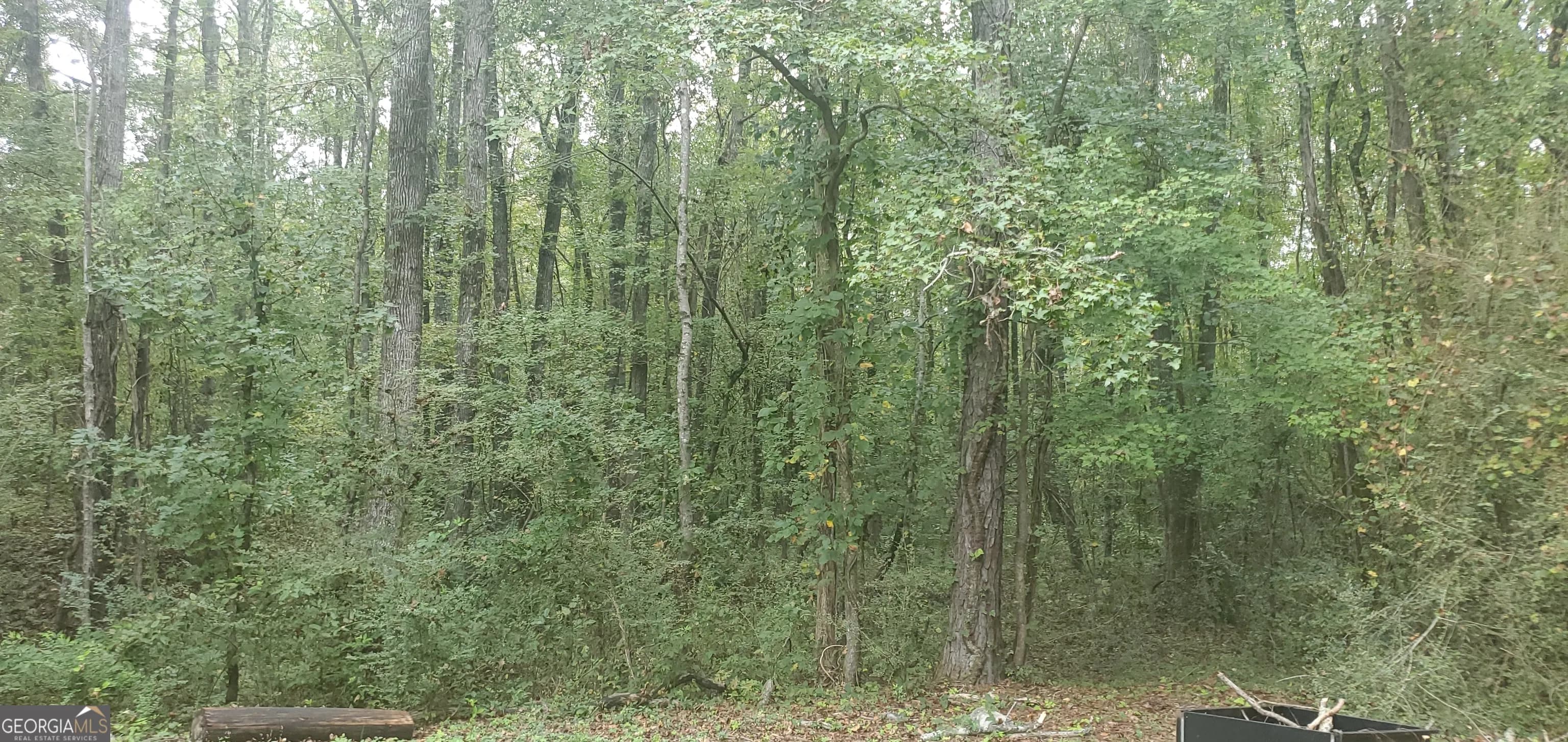 384 Enon Grove Rd — photo 83 of 117