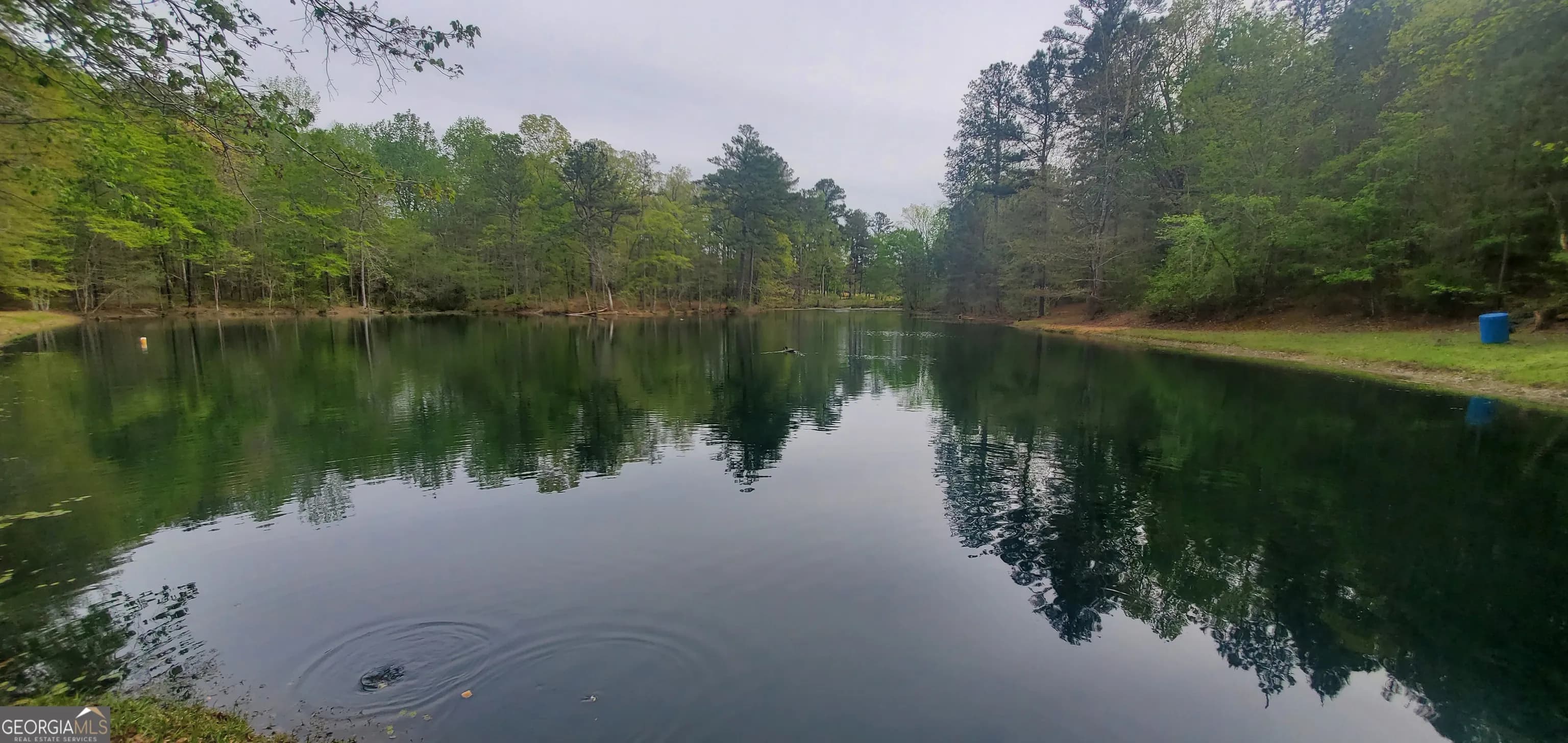 384 Enon Grove Rd — photo 52 of 117