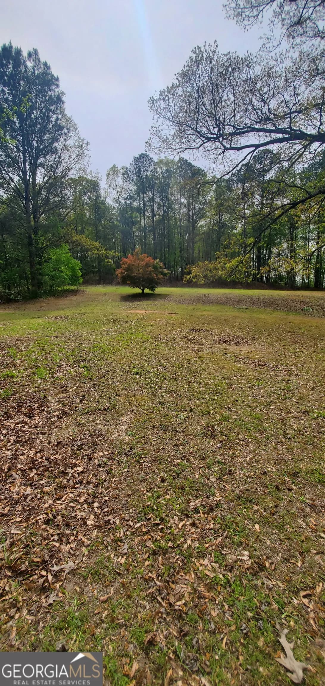 384 Enon Grove Rd — photo 36 of 117
