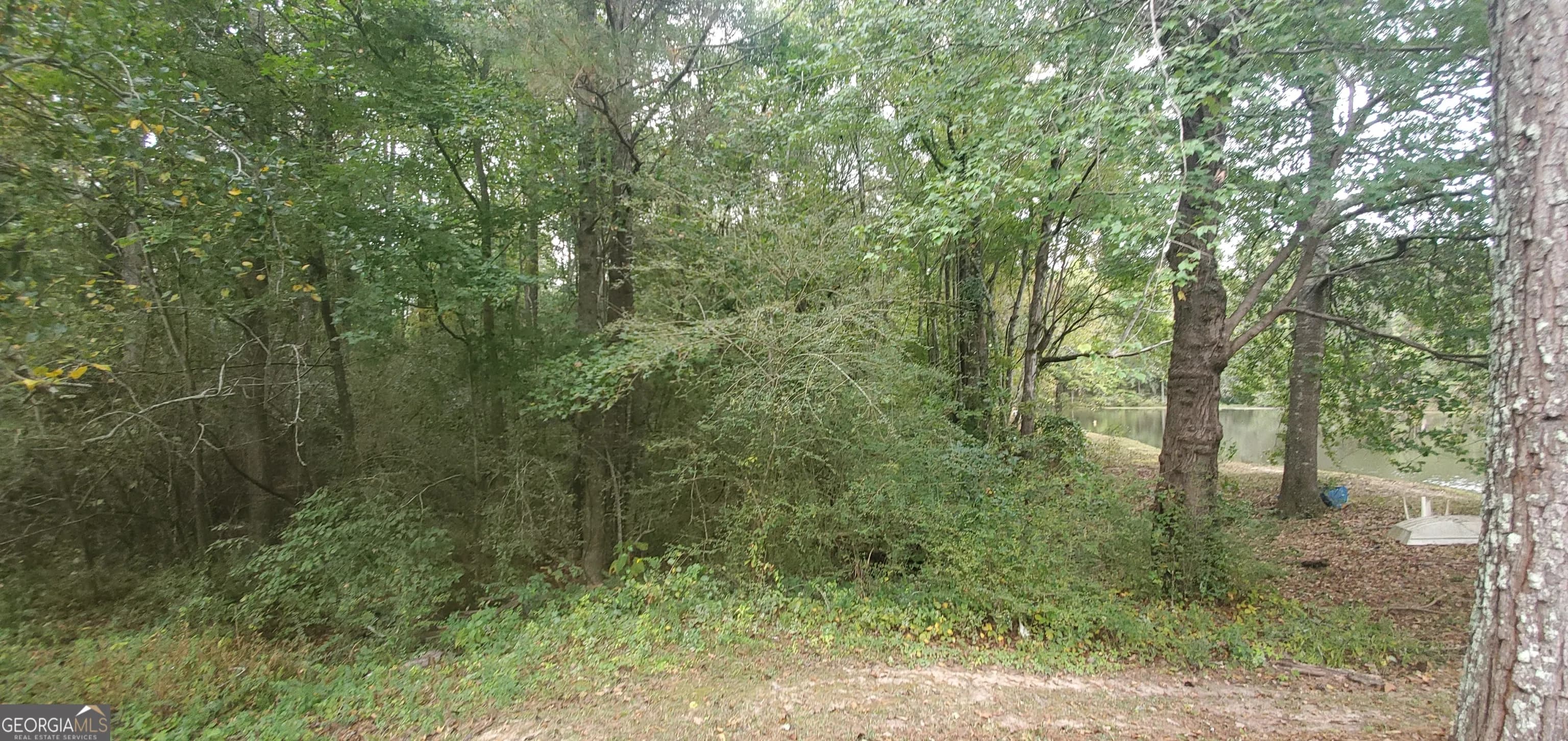 384 Enon Grove Rd — photo 88 of 117