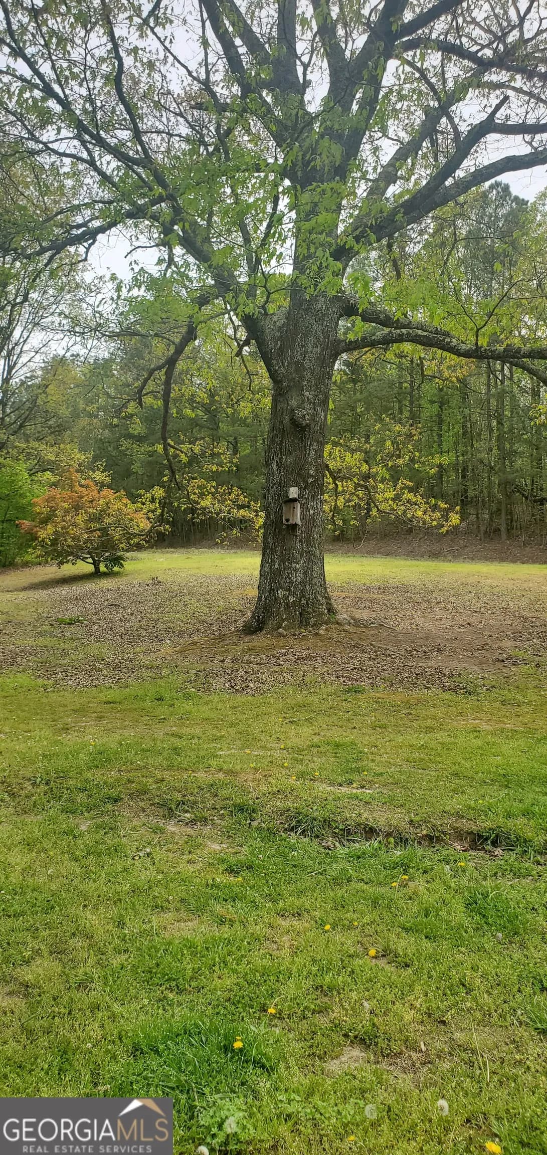 384 Enon Grove Rd — photo 38 of 117