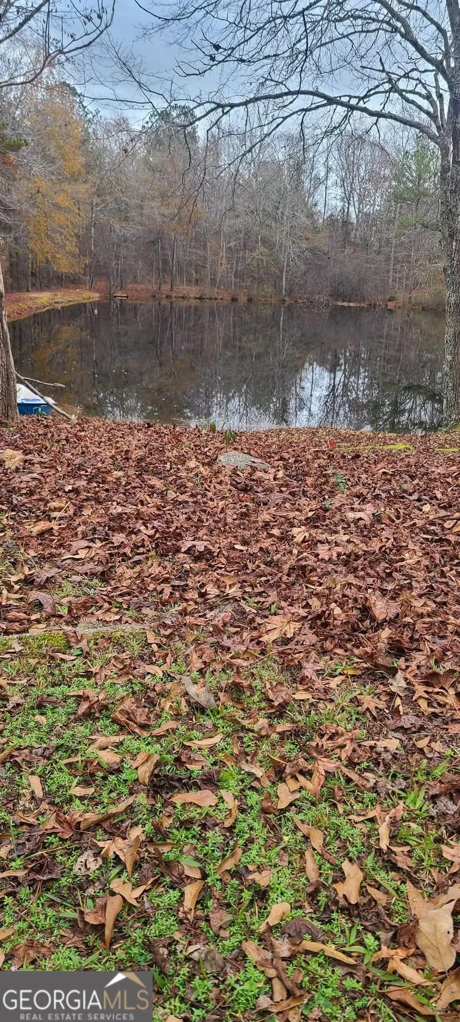 384 Enon Grove Rd — photo 10 of 117