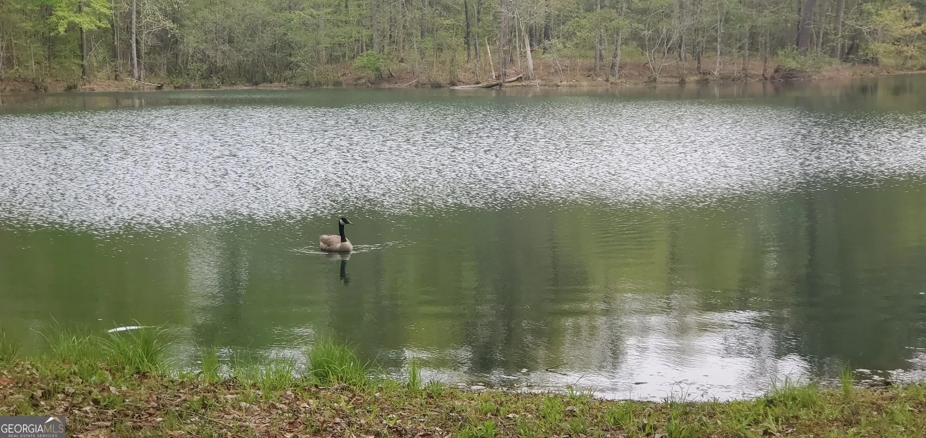 384 Enon Grove Rd — photo 107 of 117