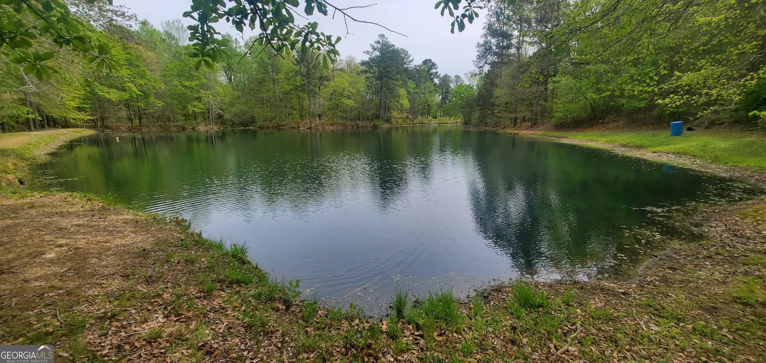 384 Enon Grove Rd — photo 8 of 117