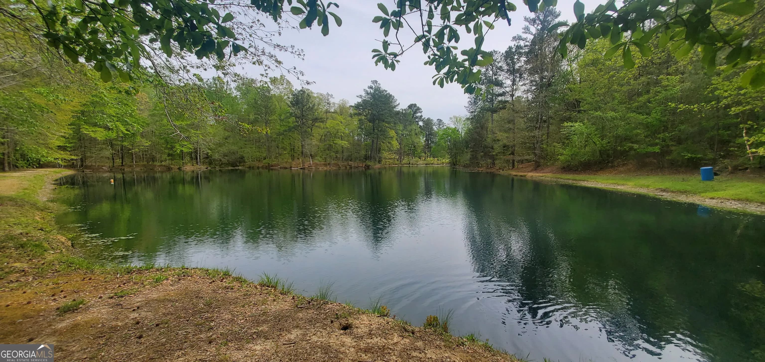 384 Enon Grove Rd — photo 2 of 117