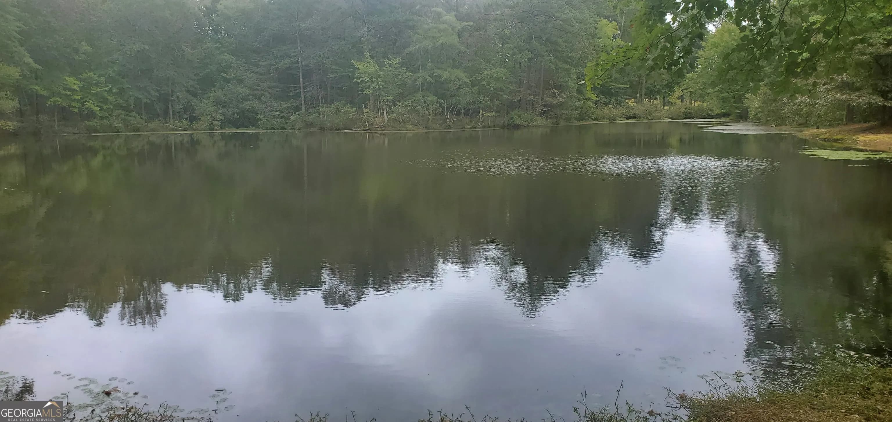 384 Enon Grove Rd — photo 14 of 117