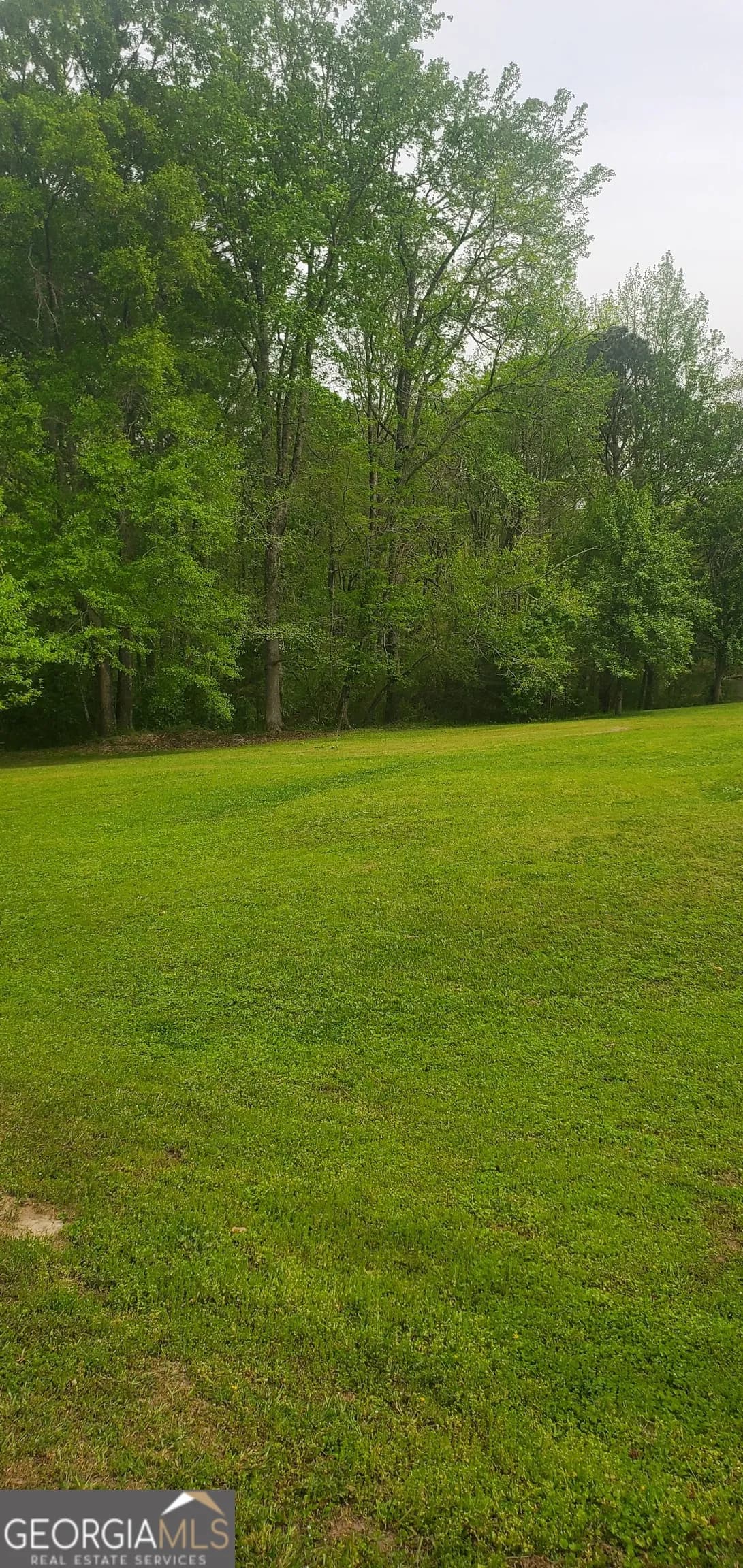 384 Enon Grove Rd — photo 99 of 117