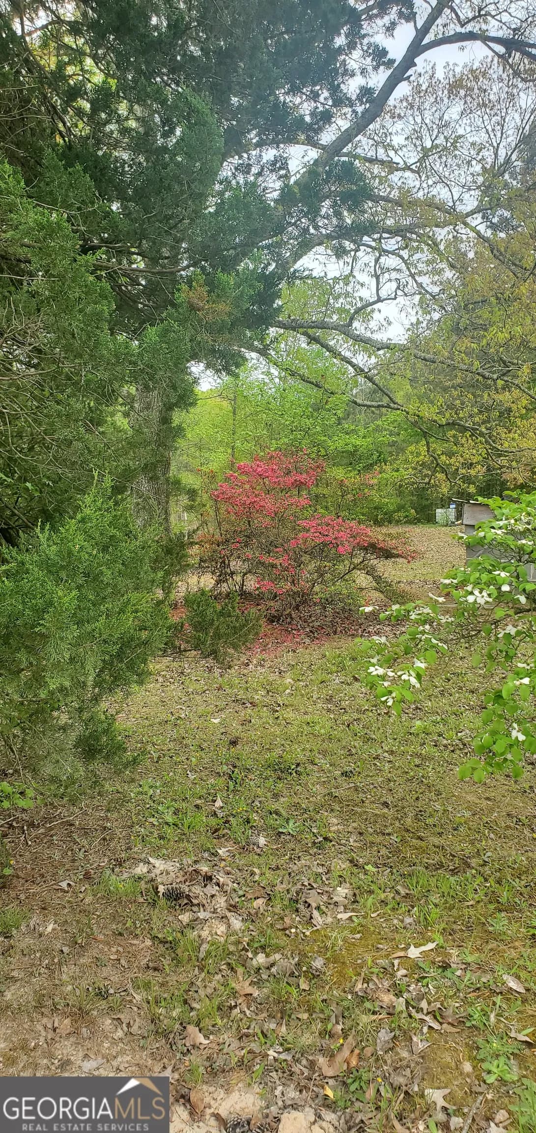 384 Enon Grove Rd — photo 116 of 117