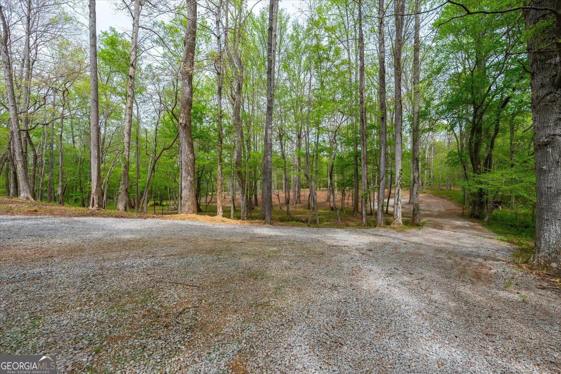 87 Wildwood Dr — photo 8 of 25