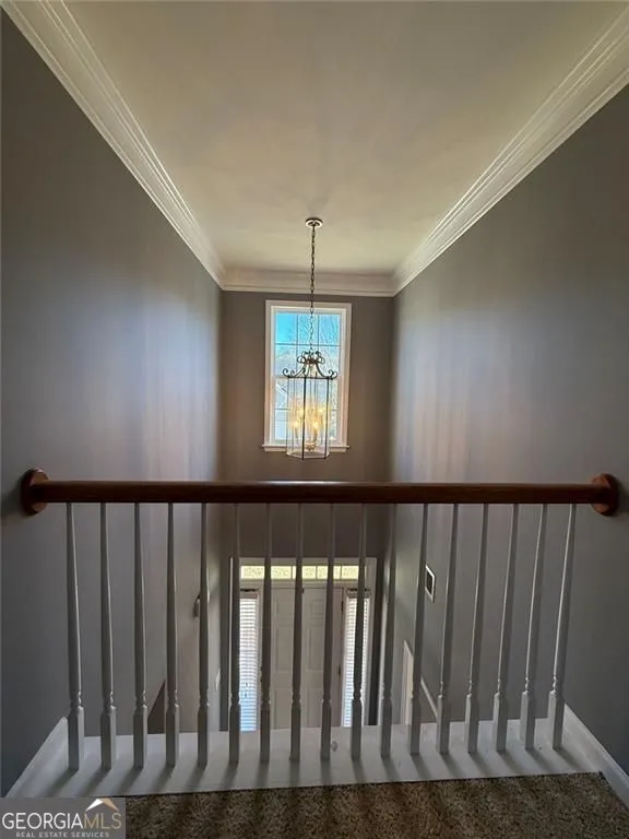 1009 S Creek Dr — photo 54 of 61
