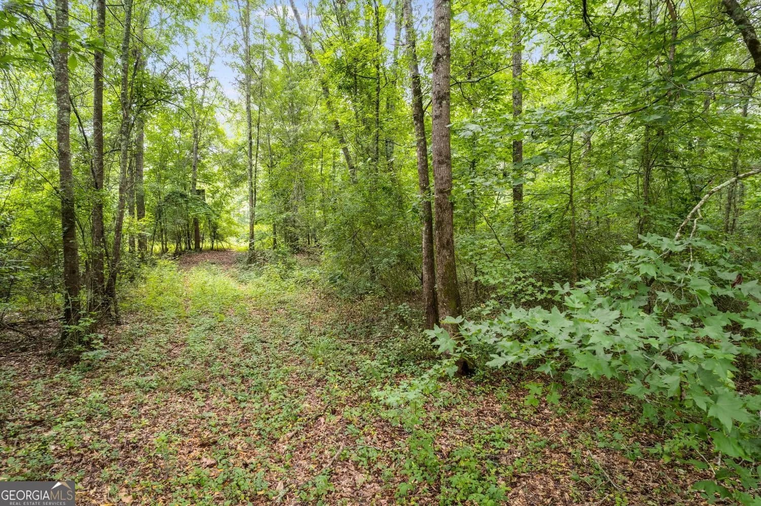 104 Martin Cemetary Rd — photo 10 of 19