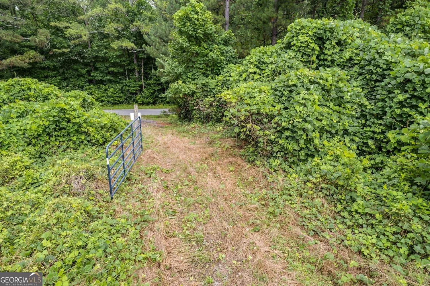 104 Martin Cemetary Rd — photo 9 of 19