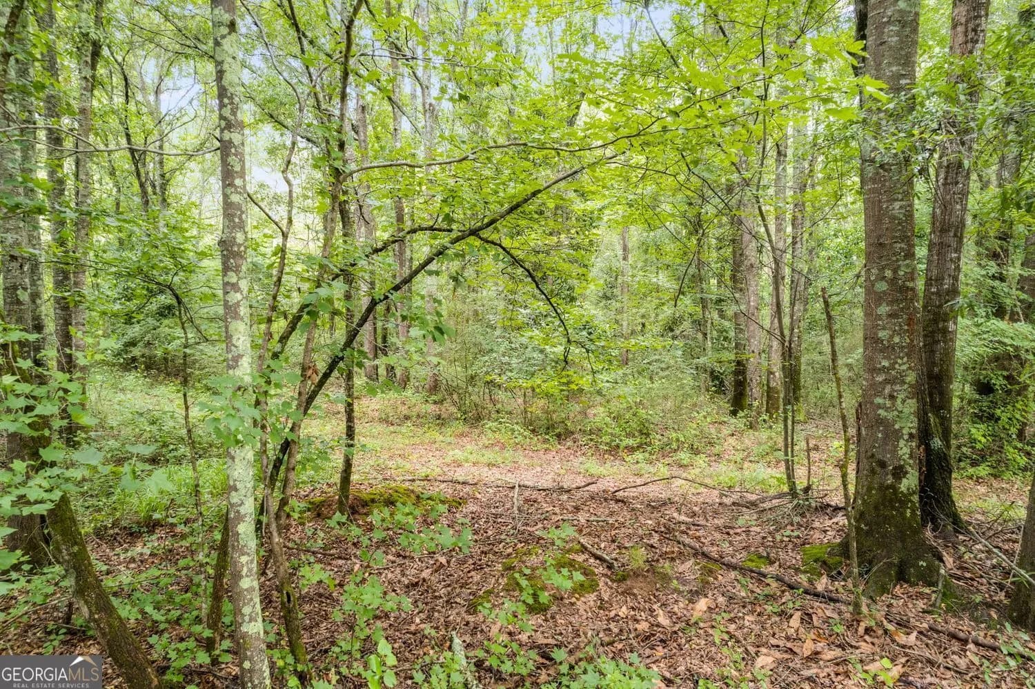 104 Martin Cemetary Rd — photo 11 of 19