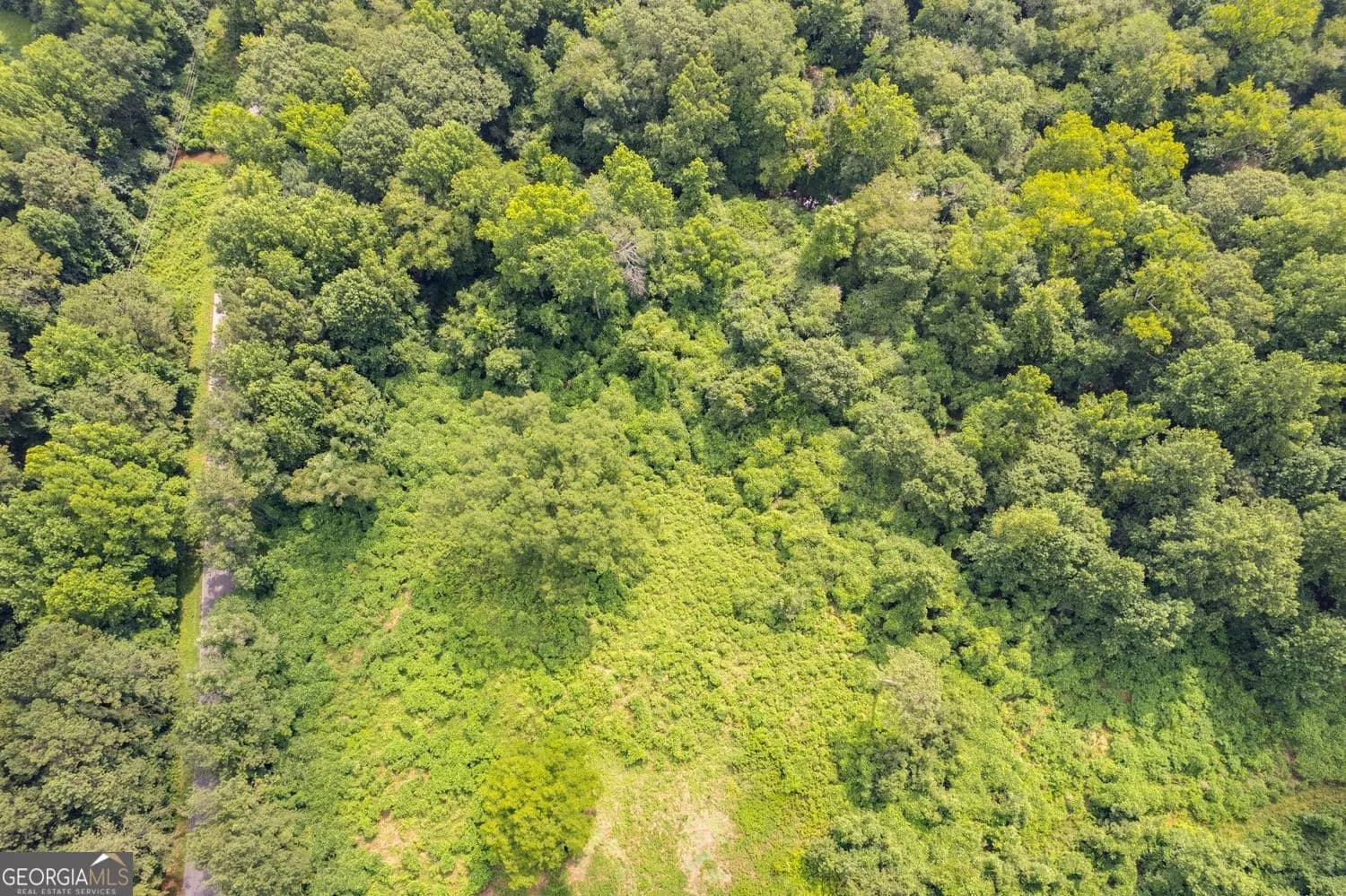 104 Martin Cemetary Rd — photo 4 of 19