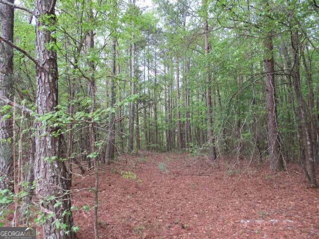 0 Star Point Rd — photo 11 of 17